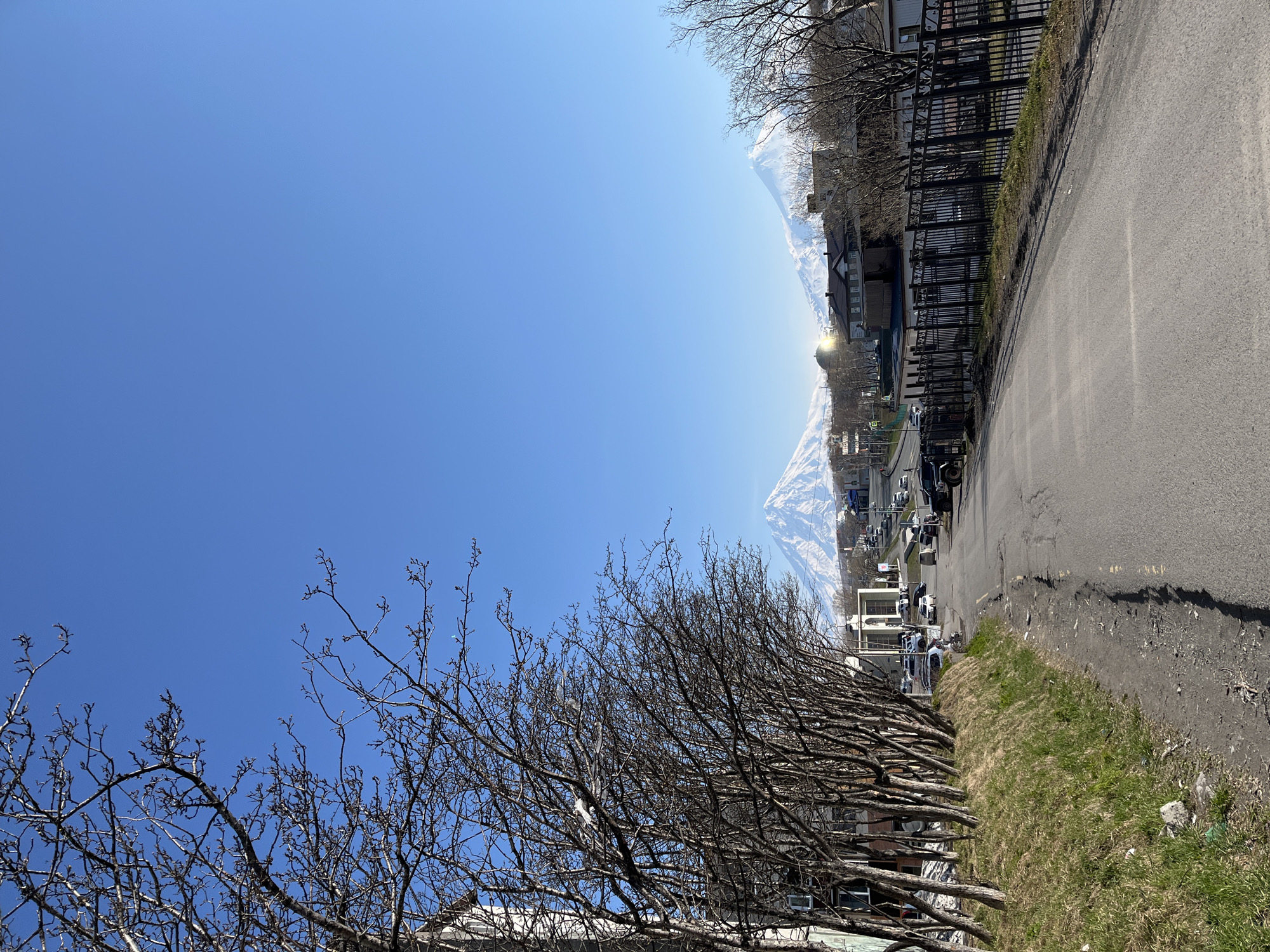 The image captures a view along a road in Petropavlovsk-Kamchatsky, Russia, under a clear blue sky. Mountains, possibly volcanic peaks with lingering snow, are visible in the distance. The road is paved and shows signs of wear and repair. A row of bare trees lines the left side of the road. Buildings, varying in design and height, are situated on the right side, partially obscured by a black metal fence. Vehicles of different types are parked or moving along the road. Patches of grass and some ground cover are visible alongside the road. No people are directly visible in the image.