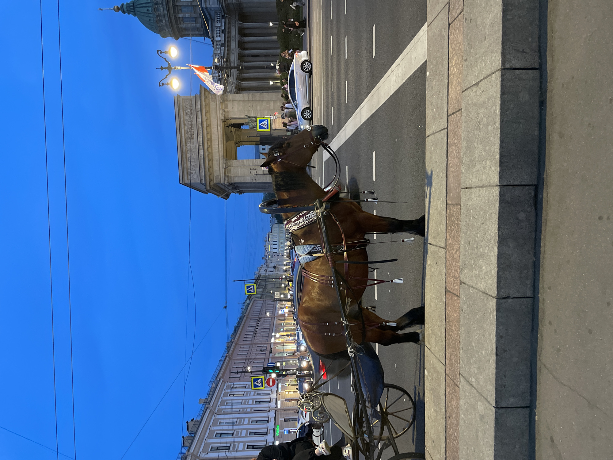 A brown horse stands harnessed to a carriage on a city street in Saint Petersburg, Russia, at dusk. The horse is facing right and its head is lowered. The carriage is empty except for a person sitting on the driver's seat. In the background, cars are driving on the street, and buildings line the street. A large dome-topped building, likely Kazan Cathedral, is visible in the far background. The sky is a deep blue, indicating the time of day is early evening. The street is paved, and there is a sidewalk to the left of the horse. Traffic lights and street lamps are visible, and the street is illuminated by artificial light. The scene depicts a common sight in tourist areas of Saint Petersburg, where horse-drawn carriage rides are offered.