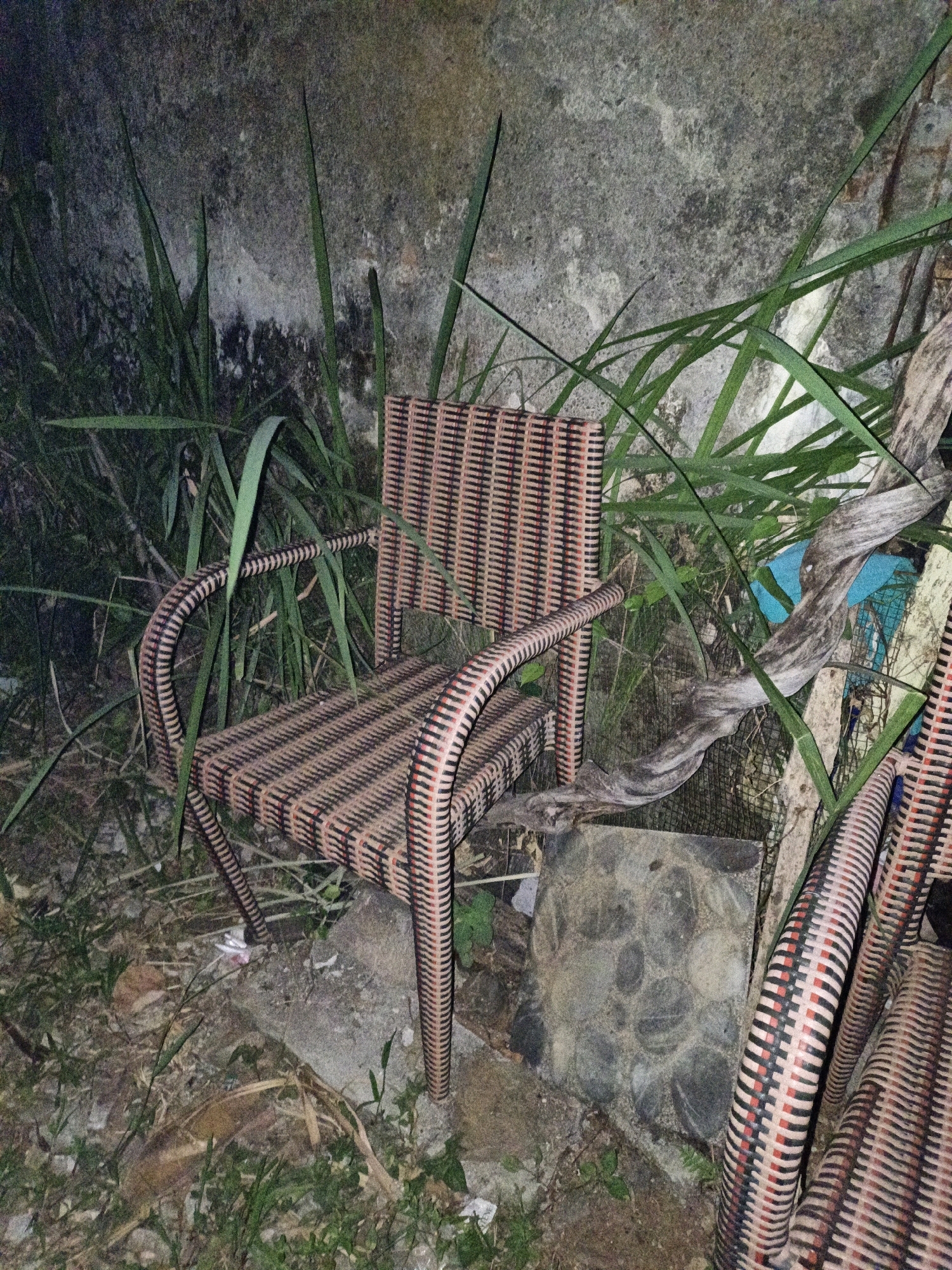 The image depicts a woven rattan chair situated outdoors, likely in a neglected area. The chair is positioned against a textured, weathered concrete wall, with overgrown green grass and foliage surrounding it. Several dried leaves and debris are visible on the ground. The lighting suggests it is nighttime or a dimly lit environment. The scene appears to be in Cikal, Indonesia. There are no individuals or discernible actions taking place; it is a static composition of an abandoned chair and its natural surroundings.