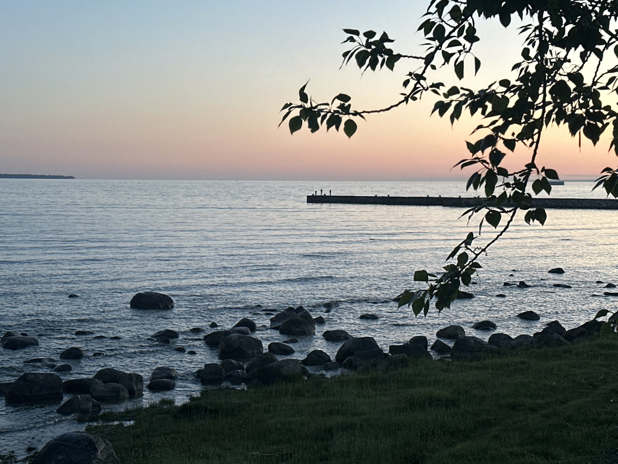 This image depicts a coastal scene in Tallinn, Estonia, at dusk. The sky presents a serene gradient, transitioning from a light blue at the zenith to soft peach and orange hues near the horizon line. The sea, under the low light, appears dark blue-grey with subtle ripples on its surface. A low-lying landmass or distant island is visible as a dark silhouette on the far left horizon. Extending from the mid-right into the sea is a dark, horizontal pier or breakwater. Approximately four to five small, dark, human-like figures are silhouetted standing on the far end of this structure. The immediate foreground on the left features a rocky shoreline with numerous dark, rounded boulders partially submerged in the water. A strip of short, dark green grass lines the bottom right edge of the land. Overhanging the upper right and central-right portions of the frame are dark, silhouetted branches with leaves, belonging to a tree or large shrub, obscuring parts of the sky and sea.