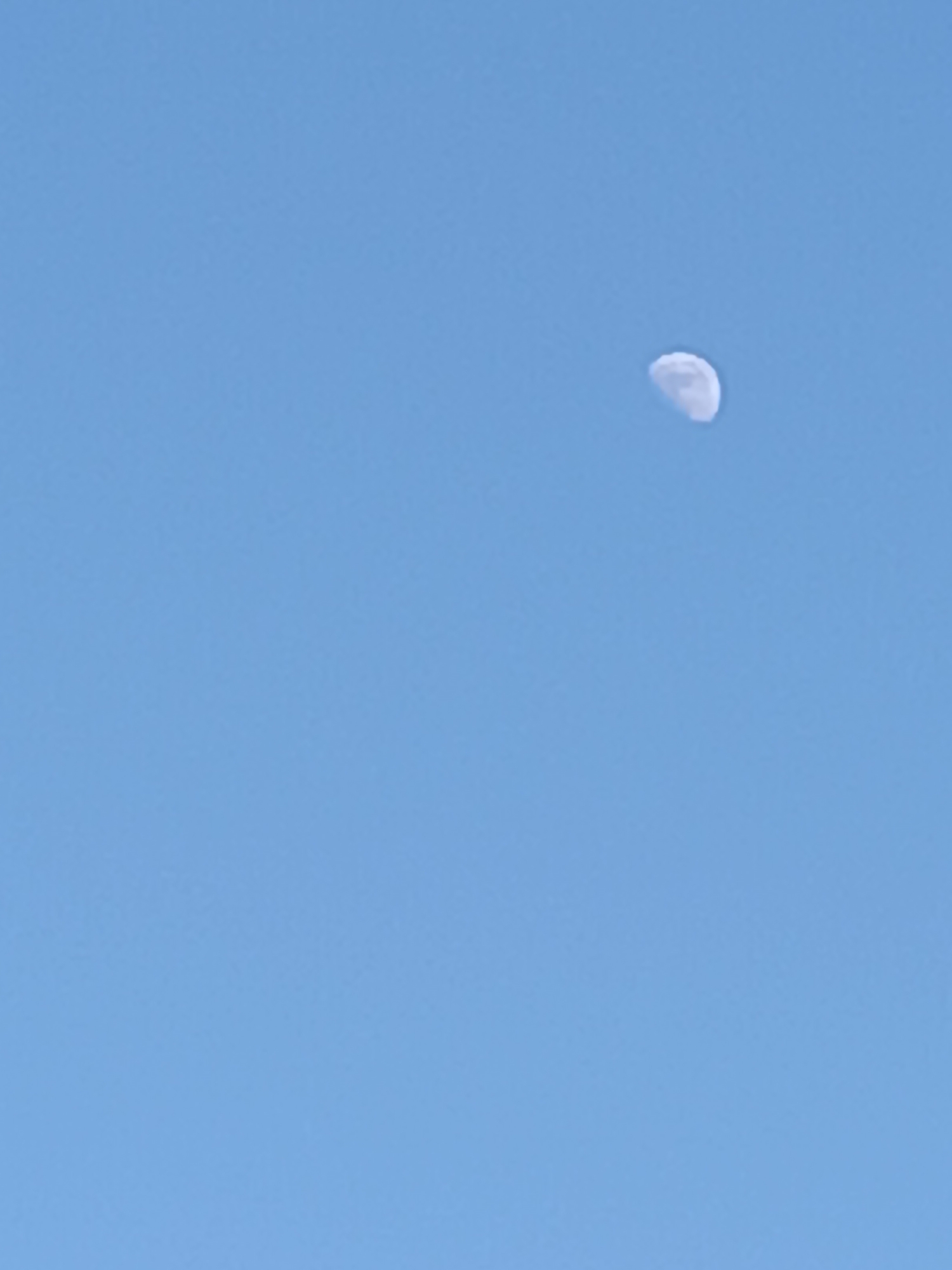 The image shows a daytime view of the moon in a clear, light blue sky. The moon is in a waning gibbous phase and is positioned towards the upper right quadrant of the frame. No specific location in Viadana, Italy can be deduced from the image alone. No people, other subjects, objects, actions or interactions are depicted. The environment is characterized solely by the clear sky and the presence of the moon.