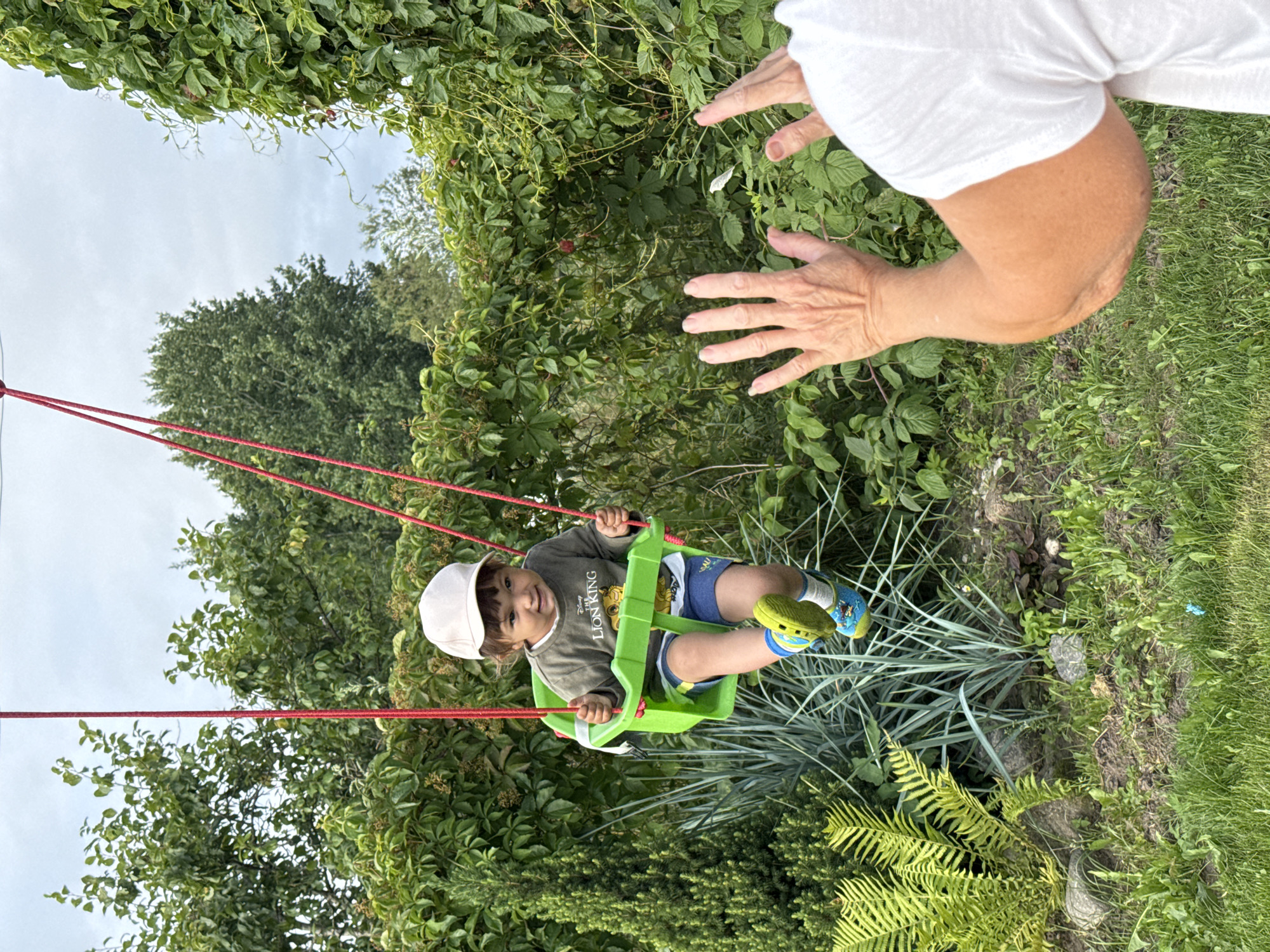 In Sitno, Russia, a young child wearing a white cap, a dark green long-sleeved shirt with "The Lion King" graphics, and blue shorts is seated in a green baby swing. The child is smiling and looking towards the camera. The swing is suspended by red ropes from an unseen overhead support. In the foreground, a person's arms and hands are visible, reaching out towards the child as if to catch them or wave goodbye. The background consists of lush green foliage, including trees, bushes, and vines, under a cloudy sky. The setting appears to be a garden or backyard.