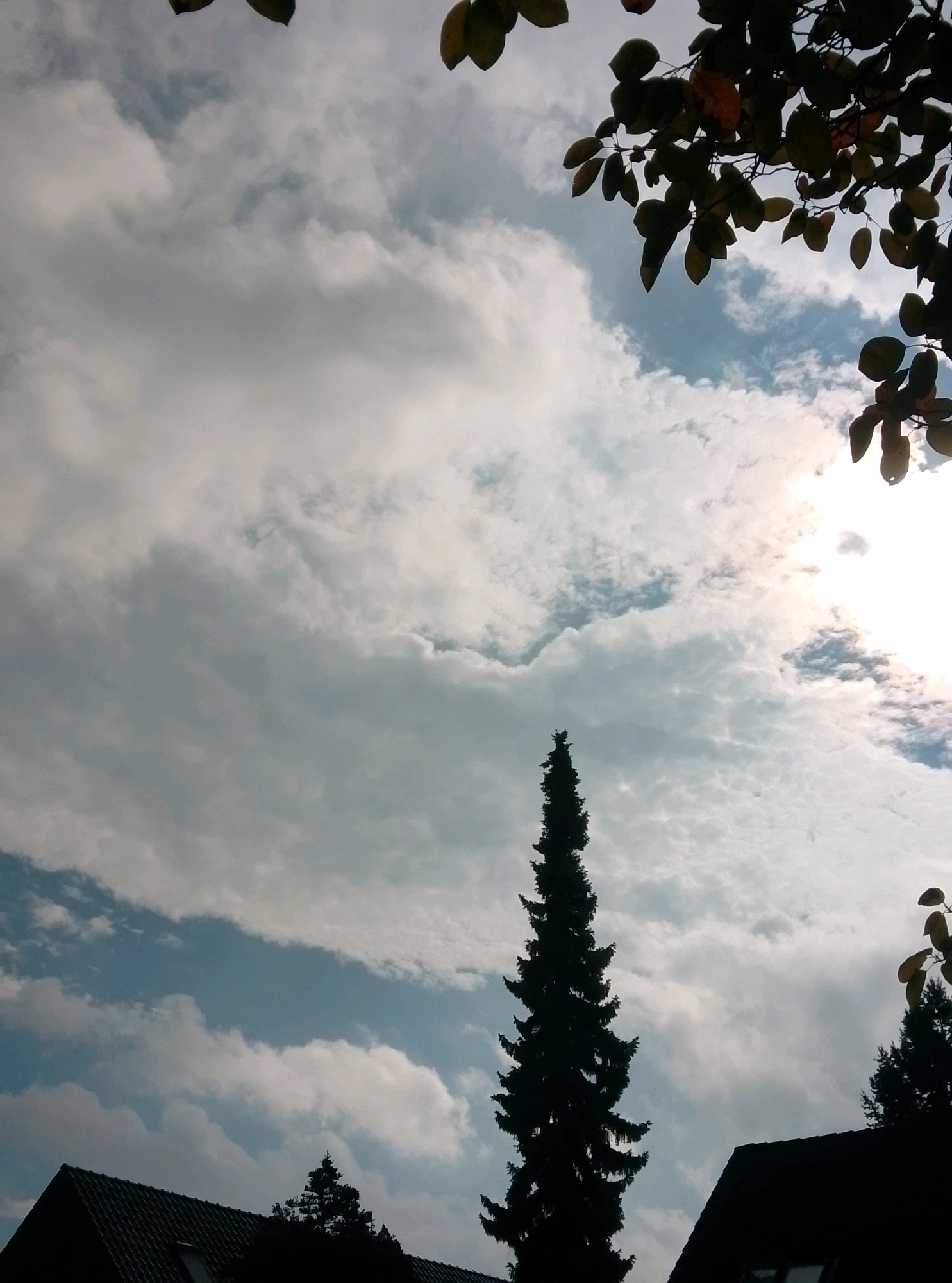 The image depicts a view of the sky with some trees and rooftops. The sky is filled with a mixture of white and gray clouds, with patches of blue sky visible. Sunlight is breaking through the clouds, creating a bright, hazy effect in the upper right portion of the frame. In the foreground, silhouetted against the sky, are the tops of several trees and the dark outlines of rooftops. One tall, slender evergreen tree stands prominently in the center of the image. Another, denser cluster of trees is visible on the right side of the image, and a portion of a dark, tiled rooftop is present in the lower right corner. In the lower left corner, another rooftop with a darker pitch is visible. The scene appears to be a residential area, likely in the late afternoon or early evening, given the quality of the light. The image does not provide specific geographical indicators that would pinpoint its location within Hamburg, Germany.