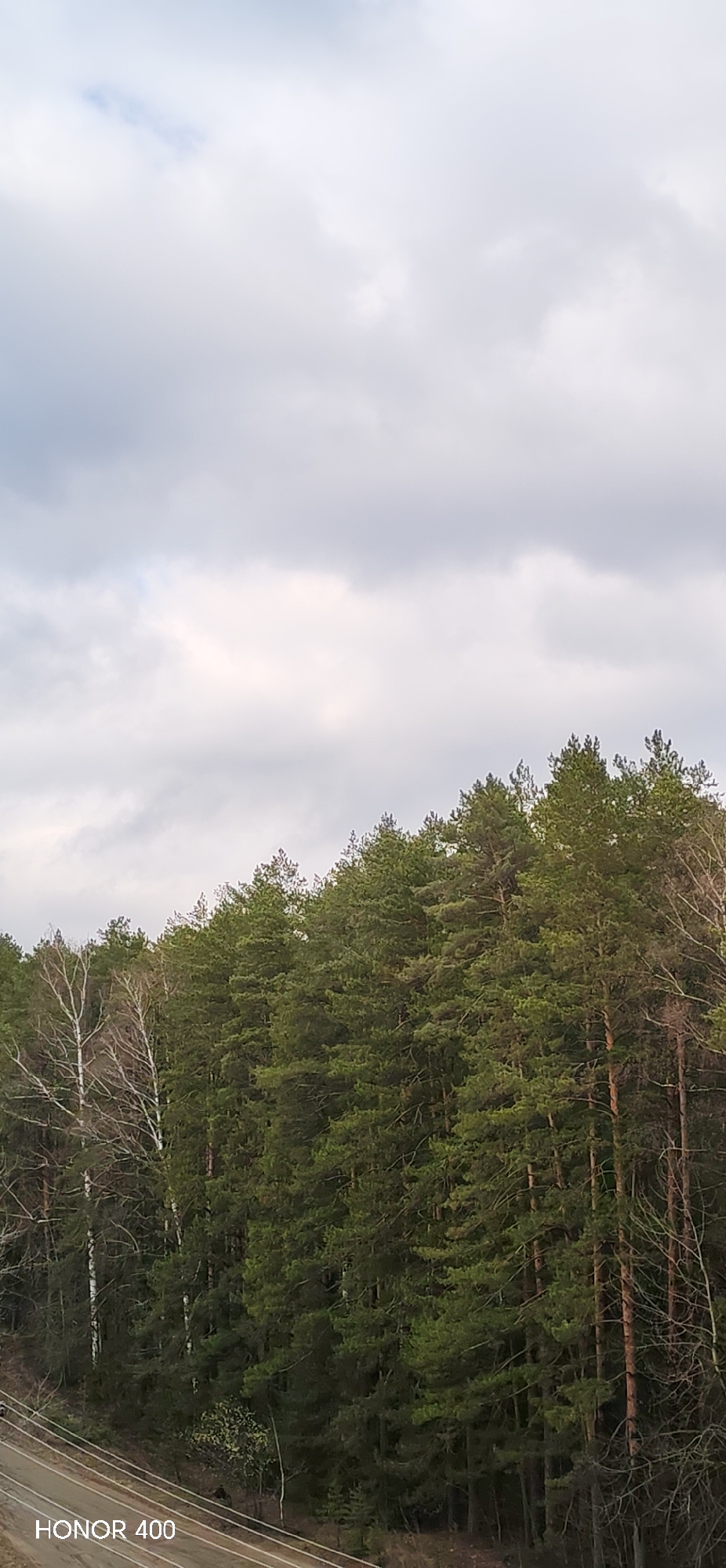 This vertical image captures a tranquil natural landscape under an overcast sky. The upper half of the frame is dominated by a expansive, grey and white cloudy sky, suggesting a dull or gloomy daytime. Below the horizon line, a dense forest fills the rest of the image, consisting primarily of dark green coniferous trees, likely pines, with their characteristic needles and rugged texture. Scattered among the evergreens, particularly on the left side, are several deciduous trees with lighter, bare branches and white bark, indicative of birches, suggesting early spring or late autumn before full foliage.
In the bottom-left corner, a section of what appears to be a dirt road or track with subtle parallel lines is visible, partially obscured by the lowest parts of the trees and some sparse ground cover. No specific activity or people are depicted, making the scene static and serene. The overall impression is one of quiet solitude within a natural environment. The time of day is daytime, but the heavy cloud cover diffuses the light, creating a soft, even illumination. A "HONOR 400" watermark is present in the bottom-left corner. The setting, characterized by its mix of coniferous and birch trees, aligns with the given location context of Noviy, Russia.