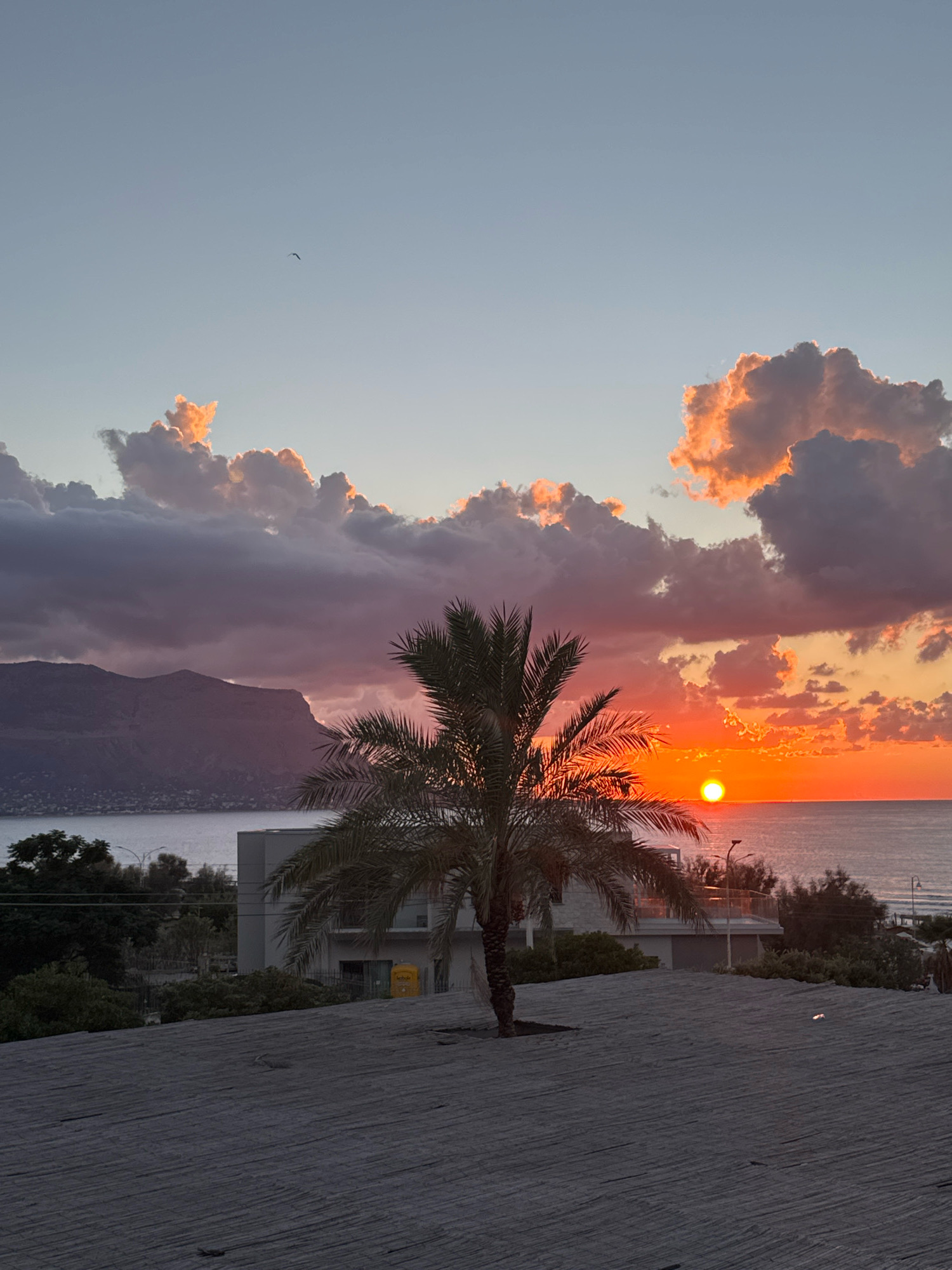A sunset view over the sea in Isola delle Femmine, Italy, is depicted. The sun, a bright orange orb, is low on the horizon, casting a warm glow across the sky and illuminating the clouds with shades of pink, orange, and purple. In the foreground, a palm tree stands silhouetted against the vibrant sky. The sea is calm, reflecting the colors of the sunset. In the midground, there is a building with a modern design, and beyond that, a coastal landscape with hills. The foreground also features a textured, dark-colored surface that appears to be a rooftop or outdoor seating area. A single bird is visible in the sky.