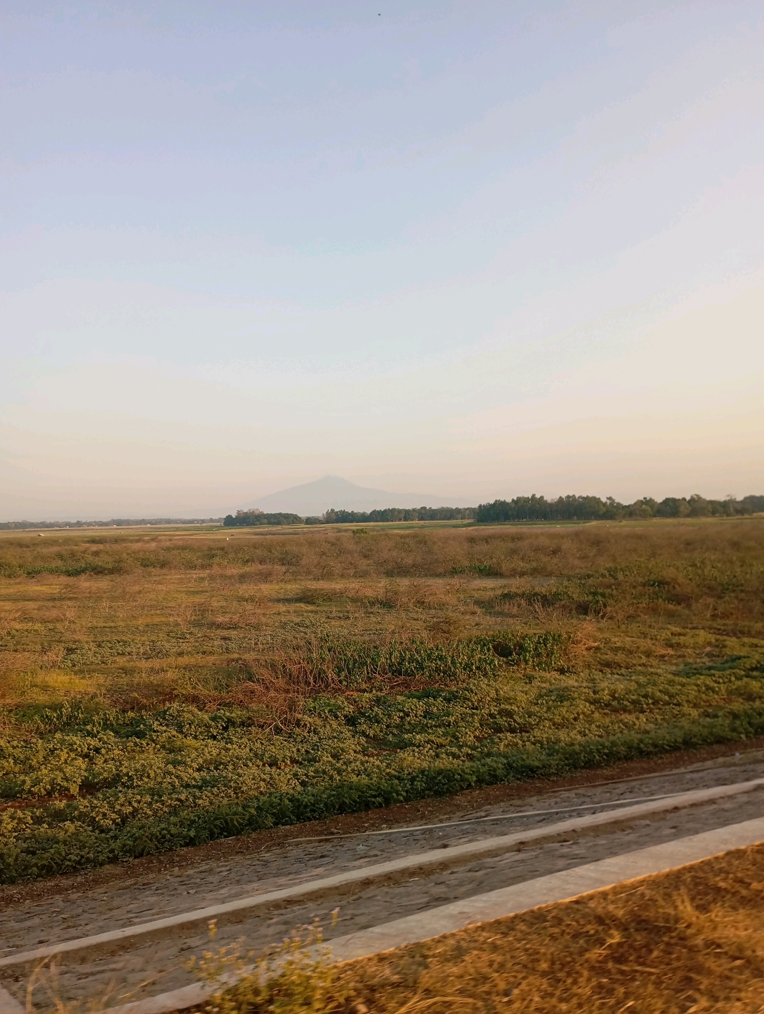 A wide, low-angle, vertical shot captures a rural landscape in Haurkolot, Indonesia, likely during the late afternoon or early morning due to the soft, diffused light. The foreground features a concrete embankment with some dry vegetation and a dark, wet channel running alongside it. Beyond the embankment, an expansive field stretches into the distance, covered in dry, golden-brown grasses interspersed with patches of greener, bushier vegetation. In the middle ground, a line of trees forms a dark green horizon, and a soft, hazy mountain range is visible in the far distance. The sky above is a pale, clear blue with a gradient of lighter tones towards the horizon. There are no people or animals visible in the scene, and no actions or interactions are depicted. The overall impression is one of vast, open, and quiet natural scenery.