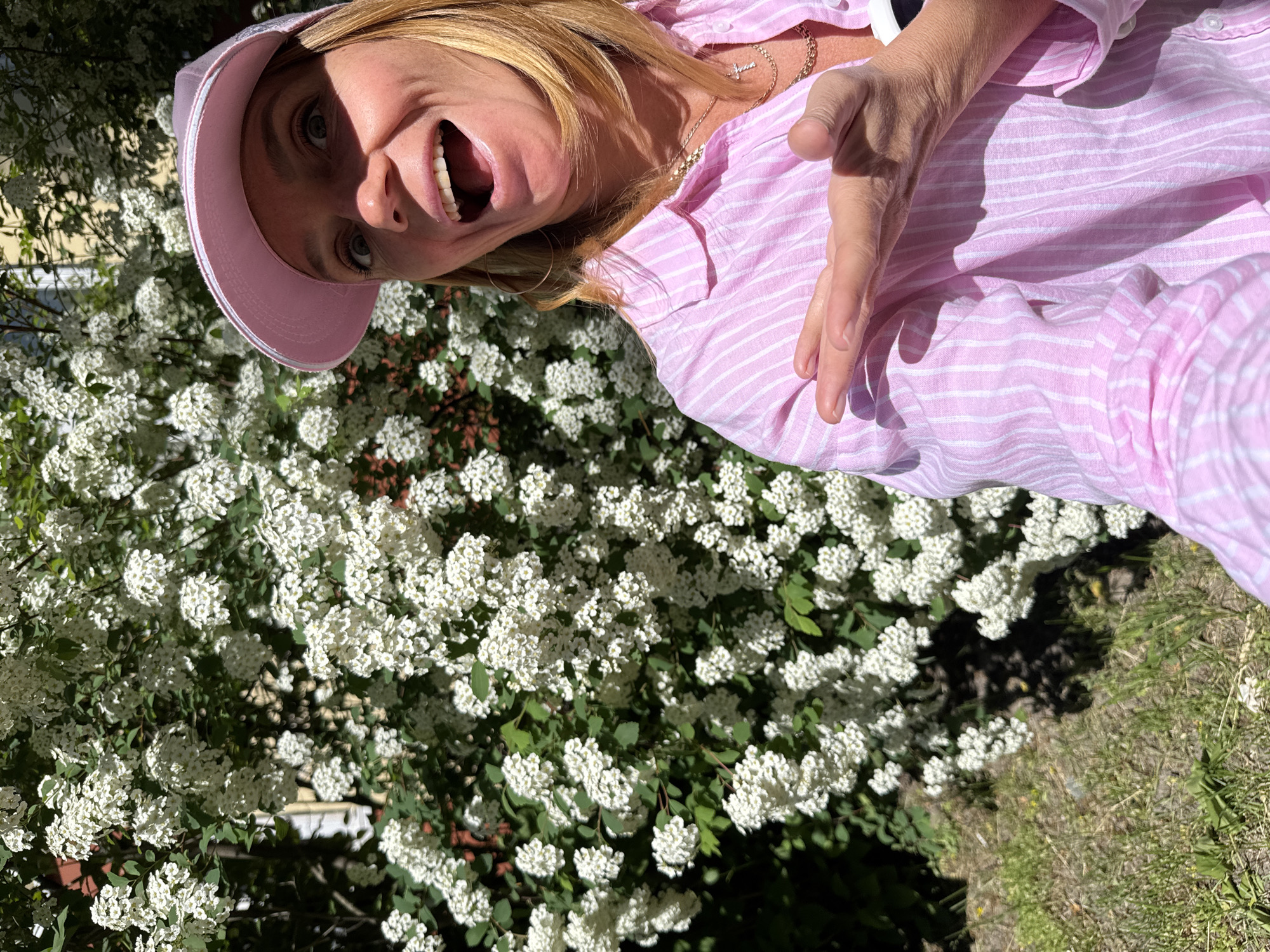 This image is rotated 90 degrees clockwise, portraying a vibrant outdoor scene in Saint Petersburg, Russia. The main subject is a fair-skinned woman, seemingly middle-aged, with blonde hair, captured in a moment of expressive emotion.
She wears a pink visor or cap and a light pink and white striped long-sleeved button-down shirt. Around her neck, she has multiple gold-colored necklaces, including one with a cross pendant and another with a nameplate, possibly reading "Juana" or a similar name. Her mouth is wide open, revealing her teeth, in what appears to be an exclamation, laughter, or surprise. Her eyes are wide and focused directly at the viewer. Her left hand is raised, with fingers slightly curled and palm open, as if in a gesture of speaking or emphasis.
The background is dominated by a lush bush covered in clusters of small white flowers, characteristic of plants like spirea, in full bloom. Green foliage is interspersed among the blossoms. Bright sunlight illuminates the scene, creating strong highlights on the woman's hair and clothes, and casting sharp shadows on the ground and within the greenery. Patches of green grass and hints of a light-colored building are also visible. The image conveys a cheerful and energetic atmosphere on a bright, sunny day.