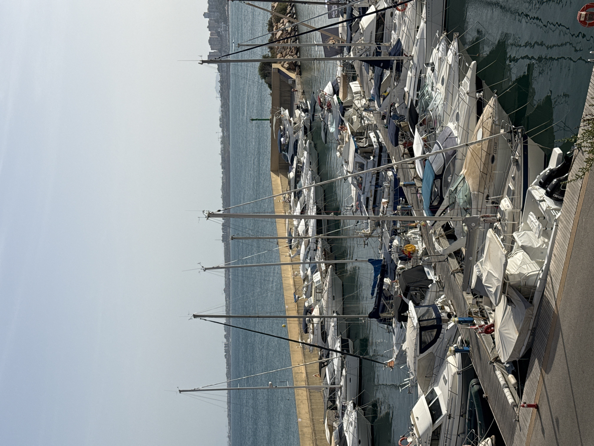 The image shows a marina filled with numerous boats of various sizes docked along a waterfront. The boats are mostly white and appear to be recreational vessels, including sailboats and motorboats. Some boats are covered with tarpaulins. The water in the marina is calm and reflects the surrounding structures and boats. In the background, a concrete wall separates the marina from the sea, and beyond that, a coastline with buildings and a clear sky is visible. The scene suggests a sunny day in a coastal city. There are no visible people in the image.