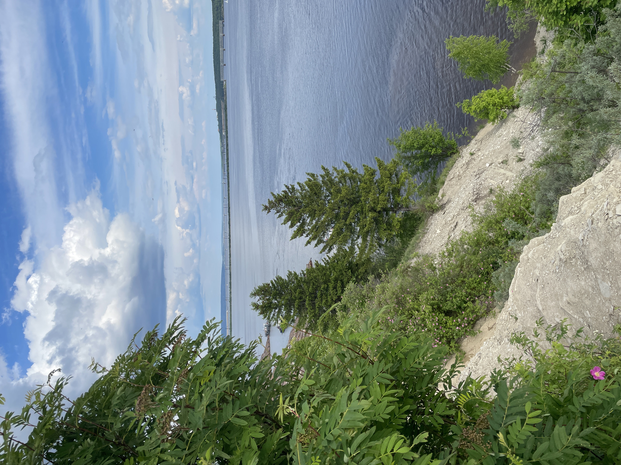 This media file captures a scenic landscape view from a high vantage point overlooking a wide river or large body of water, possibly near Пятый километр, Russia. The perspective looks down onto the water and across to the distant horizon.
In the foreground, dense green foliage, including shrubs with compound leaves and a distinct pink flower, frames the lower right portion of the image. The immediate ground slopes steeply, revealing a rocky and sandy cliff face. This bank is dotted with various green bushes and several dark green evergreen trees, primarily conifers. Lighter green deciduous trees grow closer to the water's edge at the base of the cliff.
The expansive body of water, with subtle ripples on its surface, dominates the midground, appearing dark blue and grey. In the distance, a long, low-lying bridge or elevated structure spans the water, connecting to a distant bank covered with a strip of dark green forest. The sky above is a mix of bright blue and scattered white to grey clouds, some wispy and others more substantial. The scene is bathed in natural daylight, indicating daytime, likely late morning or afternoon.
The image conveys a sense of natural beauty and tranquility. No people or visible text are present.