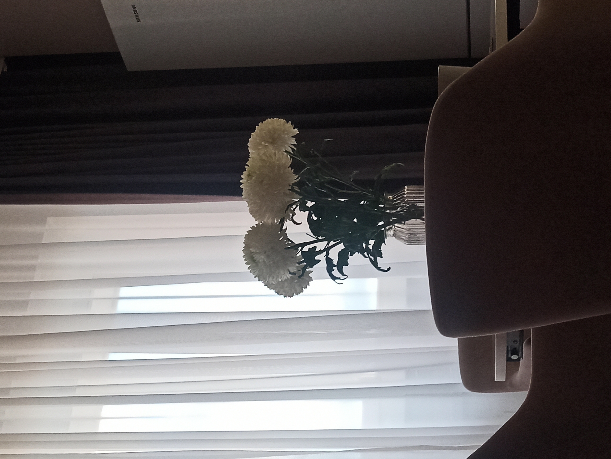 A low-angle, portrait-oriented shot depicts a vase of white chrysanthemums. The vase sits against a background of horizontally-slatted blinds, through which daylight is visible. A Samsung appliance is positioned above the flowers, slightly out of focus. To the right, a silhouetted figure obscures part of the frame. The location is within a room in Кондратово, Russia.