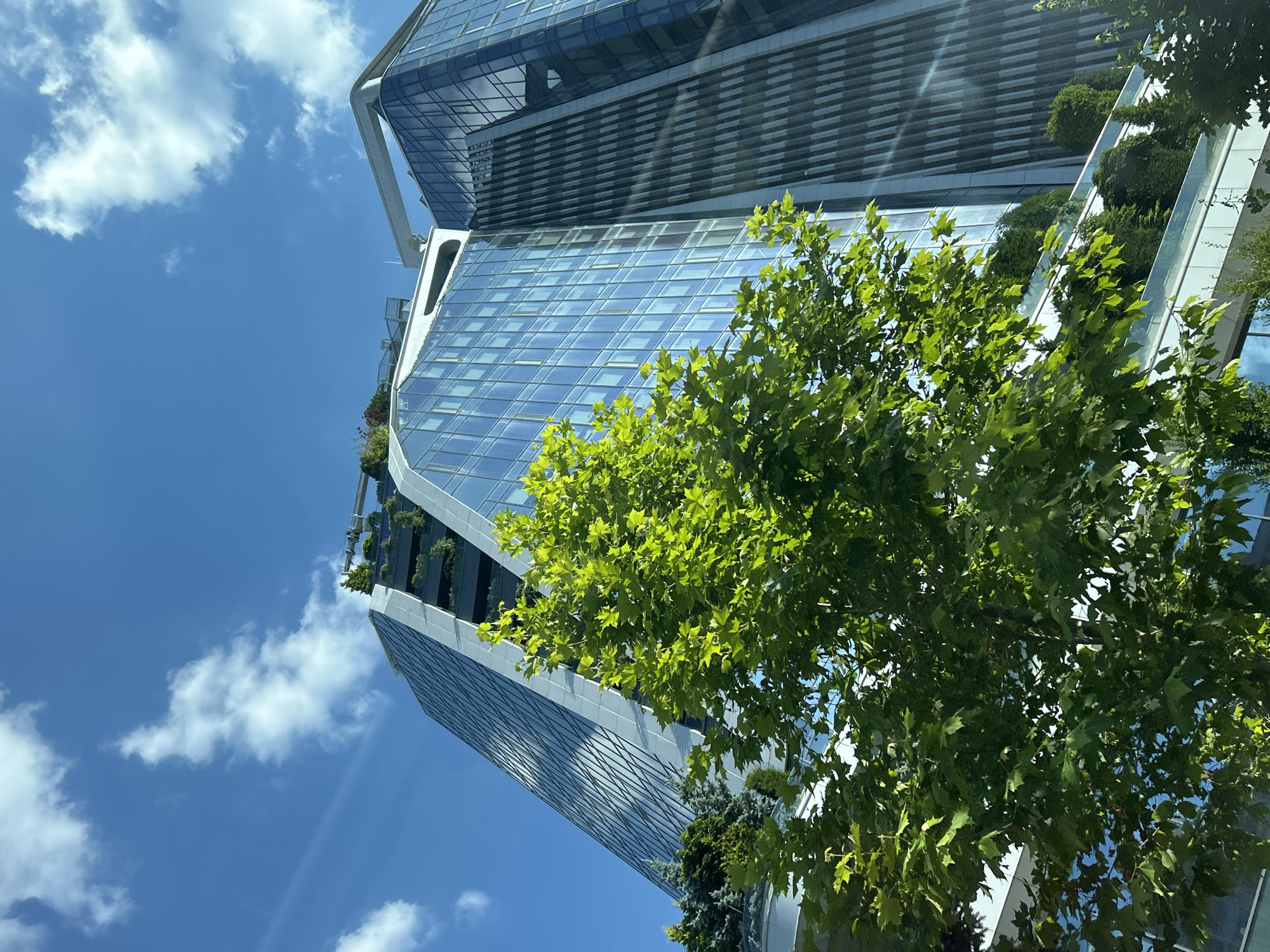 The image shows a low-angle, upward view of modern glass skyscrapers in Sofia, Bulgaria, against a bright blue sky with scattered white clouds. In the foreground, a large, leafy green tree partially obscures the view of the buildings. The buildings themselves are characterized by their reflective glass facades, some featuring geometric patterns and tiered green rooftops with lush vegetation and trees. The architecture appears contemporary and sleek, indicative of a commercial or office district. The overall impression is one of urban development and integration with nature, with the green spaces on the buildings adding a touch of biophilic design to the cityscape.