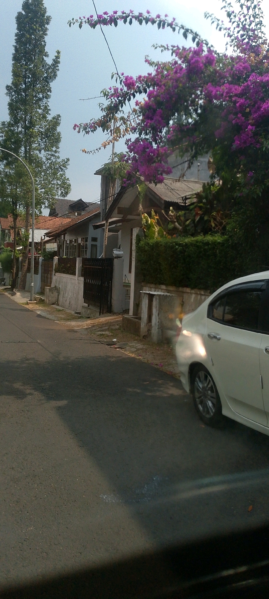 In Bandung City, Indonesia, a quiet residential street is captured under a clear, pale sky. The scene is dominated by a row of houses with varied architectural styles, featuring terracotta tiled roofs and light-colored walls. Lush greenery, including tall trees and vibrant purple bougainvillea cascading from overhead wires and branches, adds a natural element to the urban setting. A white sedan is parked on the right side of the road, its reflective surface catching the sunlight. The asphalt road shows subtle signs of wear and tear, with shadows cast by the surrounding trees and buildings.