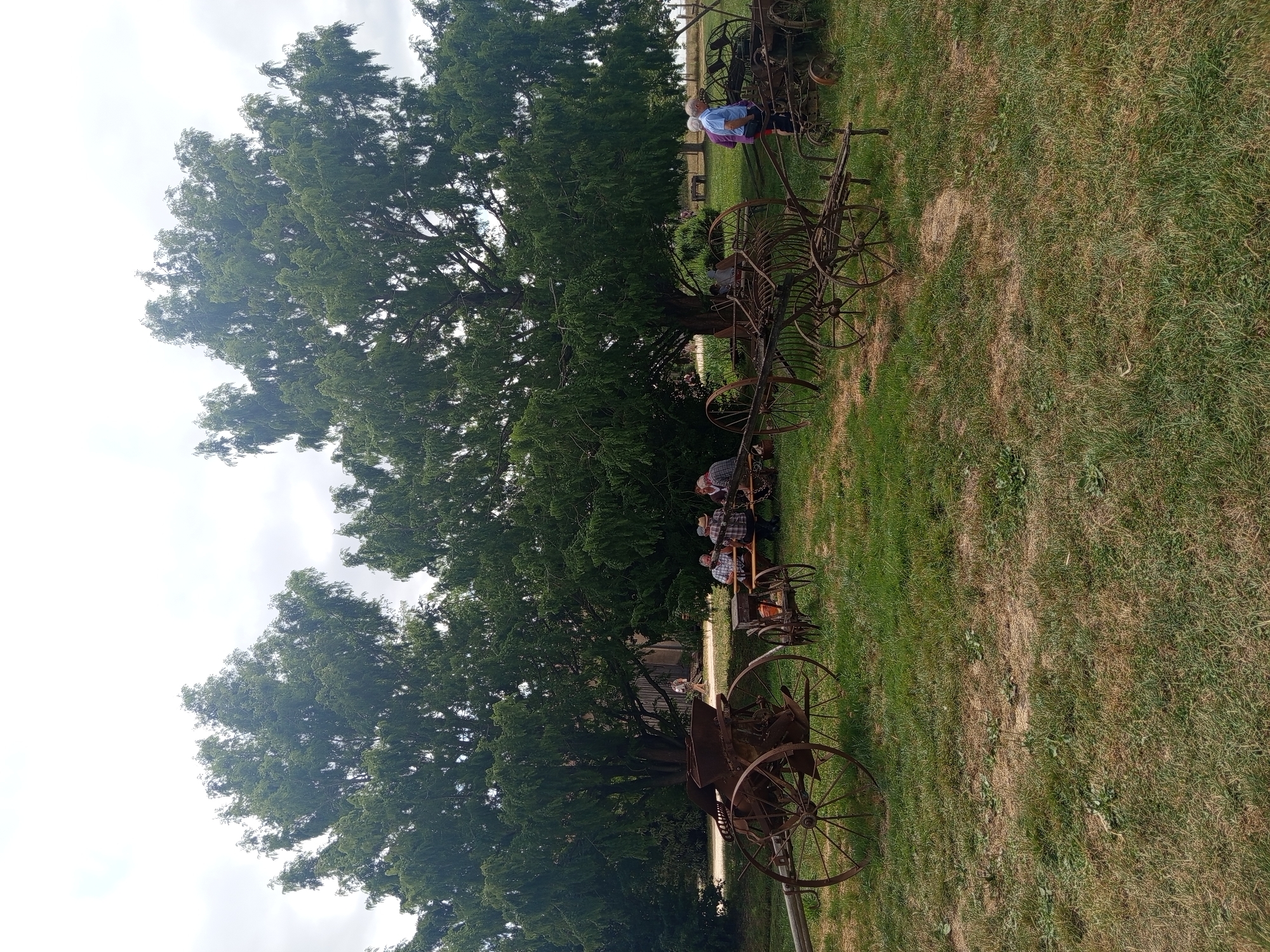 In the commune of Azannes-et-Soumazannes, France, an outdoor scene unfolds under a cloudy sky, dominated by two large, mature trees with dense foliage. In the foreground, several pieces of aged, rusty agricultural machinery are displayed on a grassy field. To the left, a large, wheeled implement with a hopper and intricate metalwork sits prominently. To its right, a smaller, similar piece of equipment is positioned. Further to the right, a rake-like apparatus on wheels is visible.
Several people are present in the scene. A group of men are seated at a wooden picnic table under the shade of the trees, engaged in conversation. To the right of the table, a woman in a blue shirt and a person in a purple shirt stand near the agricultural equipment. In the background, a person walks near a weathered building with a wooden door, and other figures are faintly visible near the trees. The ground is covered in dry and green grass, indicating a summer or late spring setting.