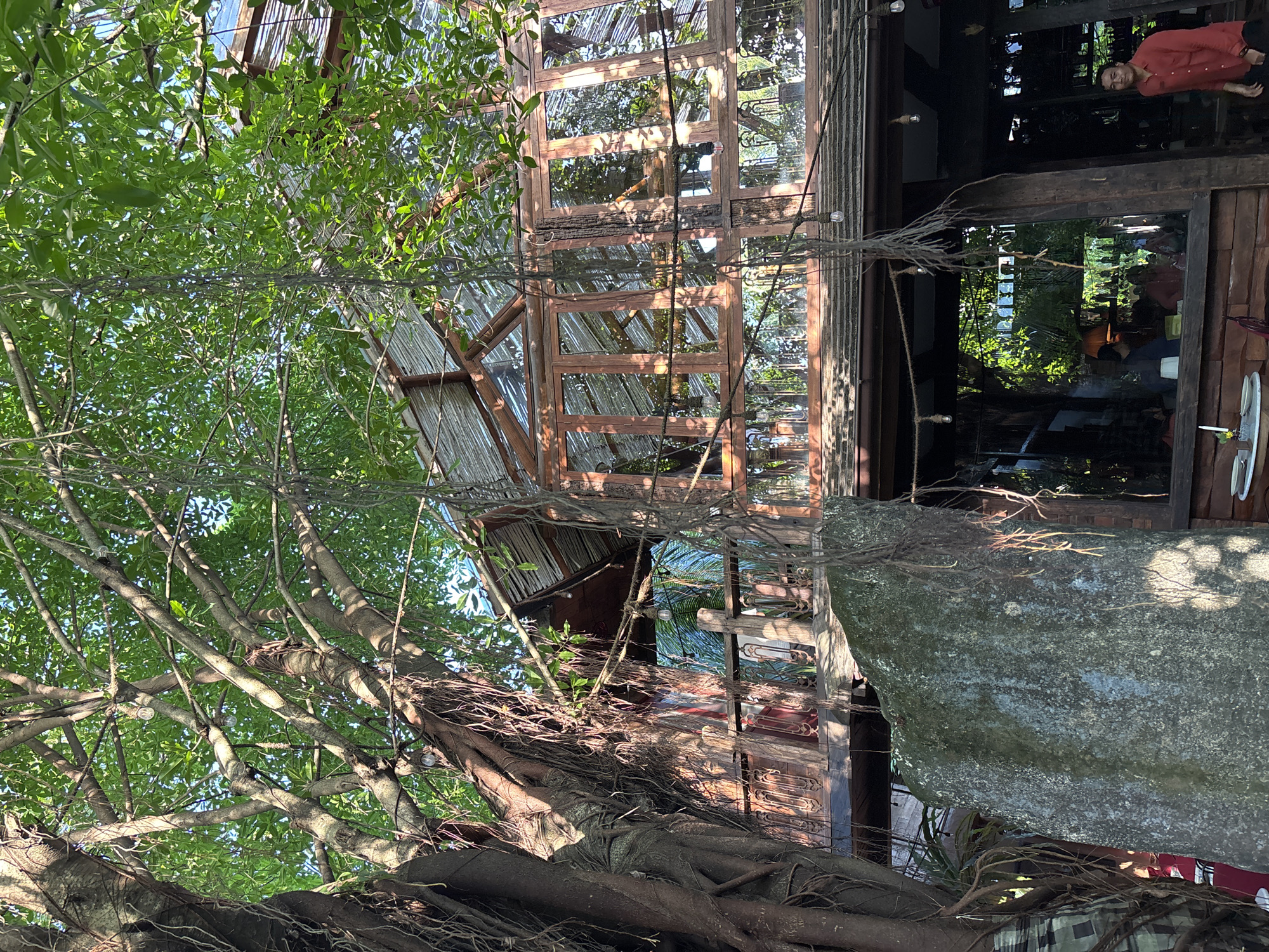 This outdoor shot depicts a multi-story building in Mengwi, Indonesia, viewed through dense foliage and tree roots. The building appears to be constructed primarily of wood and glass, with a section of corrugated metal roofing visible. A large stone structure abuts the building. Inside, there is a glimpse of people, one in a red shirt. String lights are suspended amongst the branches.