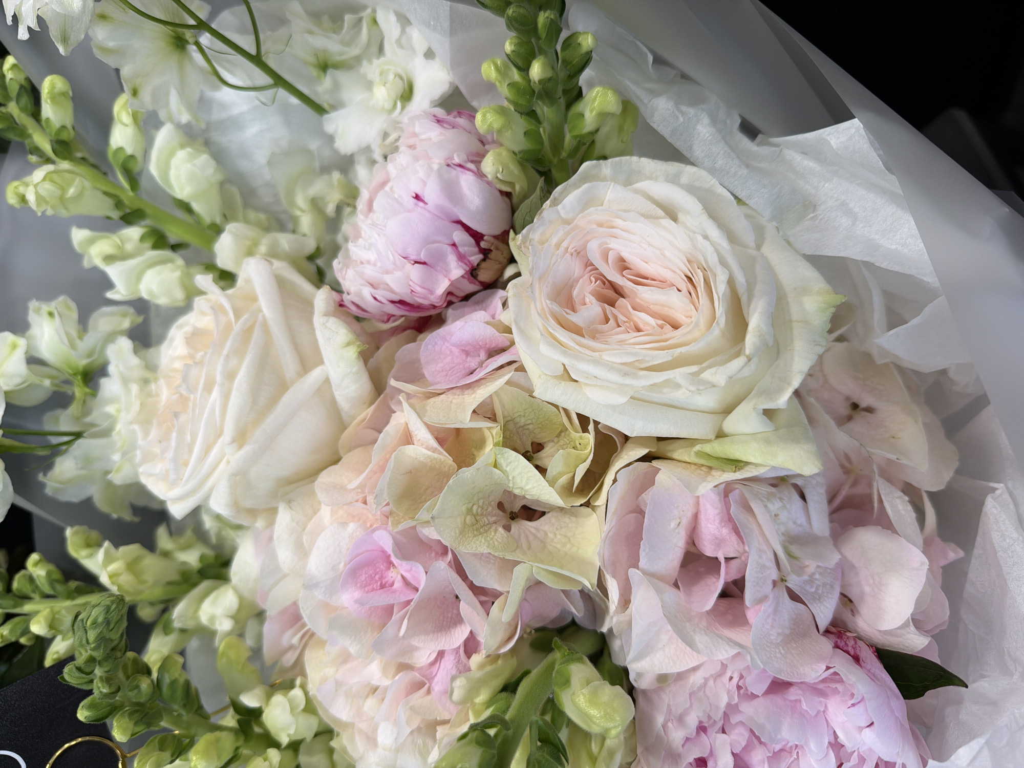 This is a close-up, overhead shot of a floral arrangement. The bouquet is composed primarily of soft pink and white flowers, including roses, peonies, and hydrangeas, interspersed with delicate white stock flowers and green snapdragon buds. The flowers are wrapped in white tissue paper, some of which is crinkled and creating soft folds. The background is dark and out of focus, suggesting the photo was taken indoors or in a shaded outdoor area. The lighting is soft and diffused, highlighting the delicate textures and subtle color variations of the petals. There is no visible text in the image. The overall impression is one of softness, elegance, and natural beauty, evoking a sense of calm and appreciation for the floral artistry.