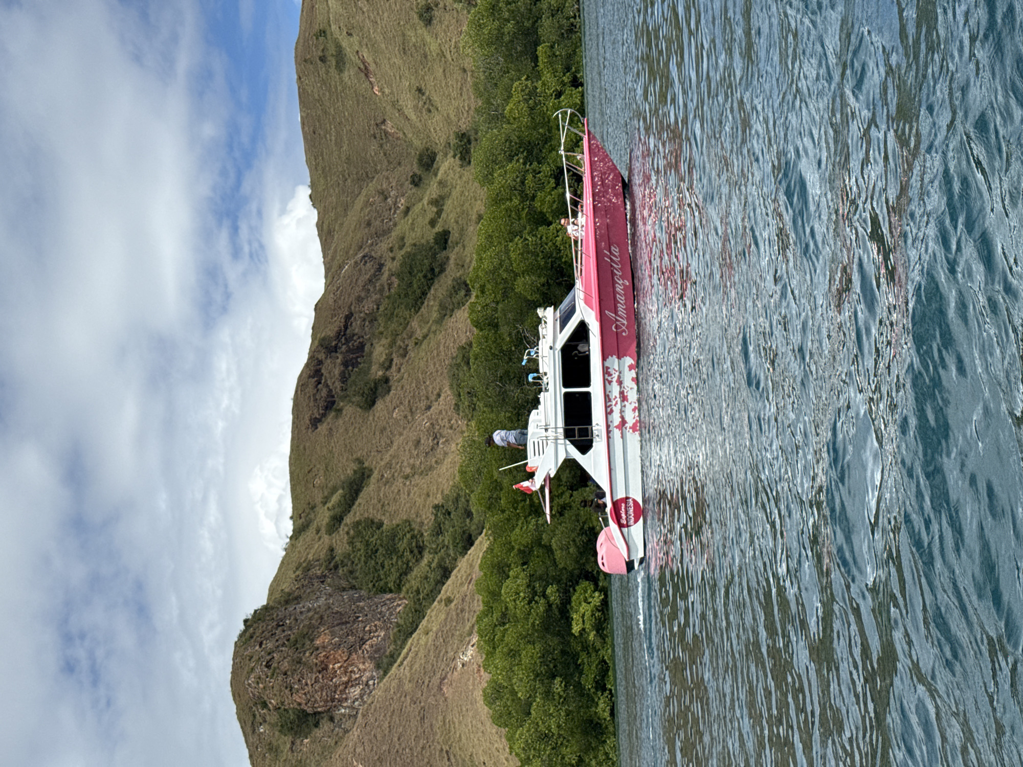A medium shot of a boat, named “Amanziilla”, on the water next to a hillside with green trees. The boat is white with pink accents and has "Amanziilla" written on its side. On the side is also written “Explore Indonesia”. There is a person on the bow of the boat. The water is blue and reflects the sky and hillside. The hillside is covered in green trees and brown vegetation. The sky is blue with white clouds. The location is Unknown, Indonesia.