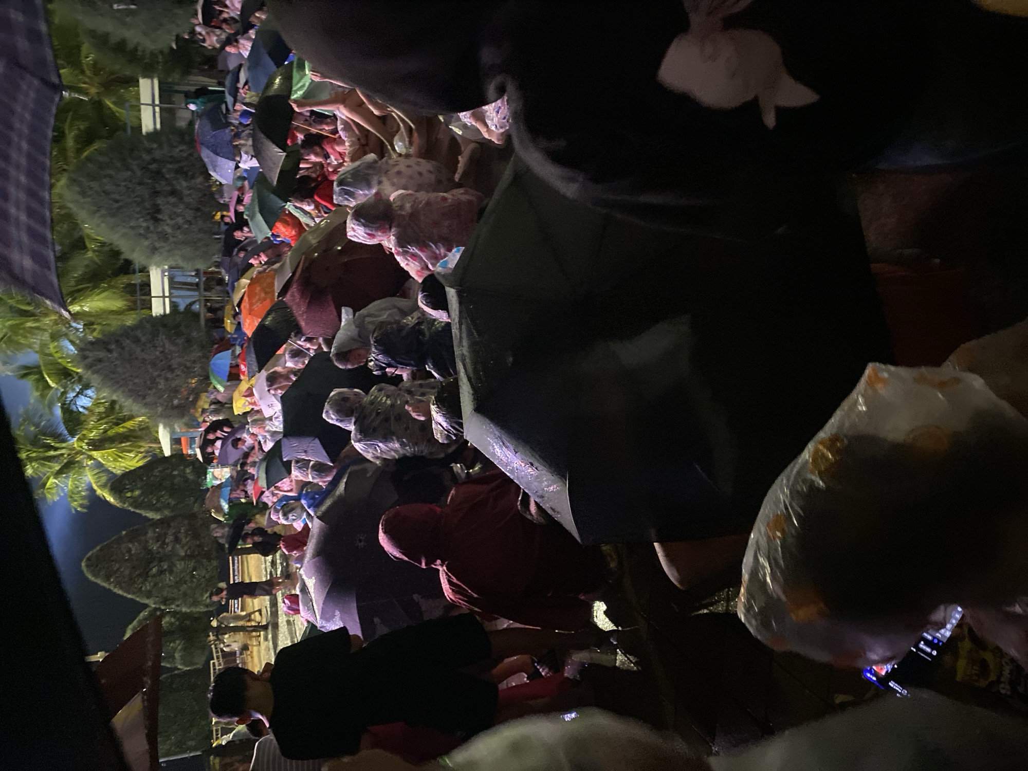 The image depicts a nighttime scene of a crowded outdoor gathering, possibly an event or performance, in Đà Nẵng, Vietnam. Many individuals are holding umbrellas, suggesting it is raining. The crowd is dense, with people sitting and standing. Palm trees and coniferous trees are visible in the background, along with some structures that appear to be part of a venue or park. The lighting is dim, typical of an evening event. The overall atmosphere suggests a communal experience taking place despite the inclement weather.