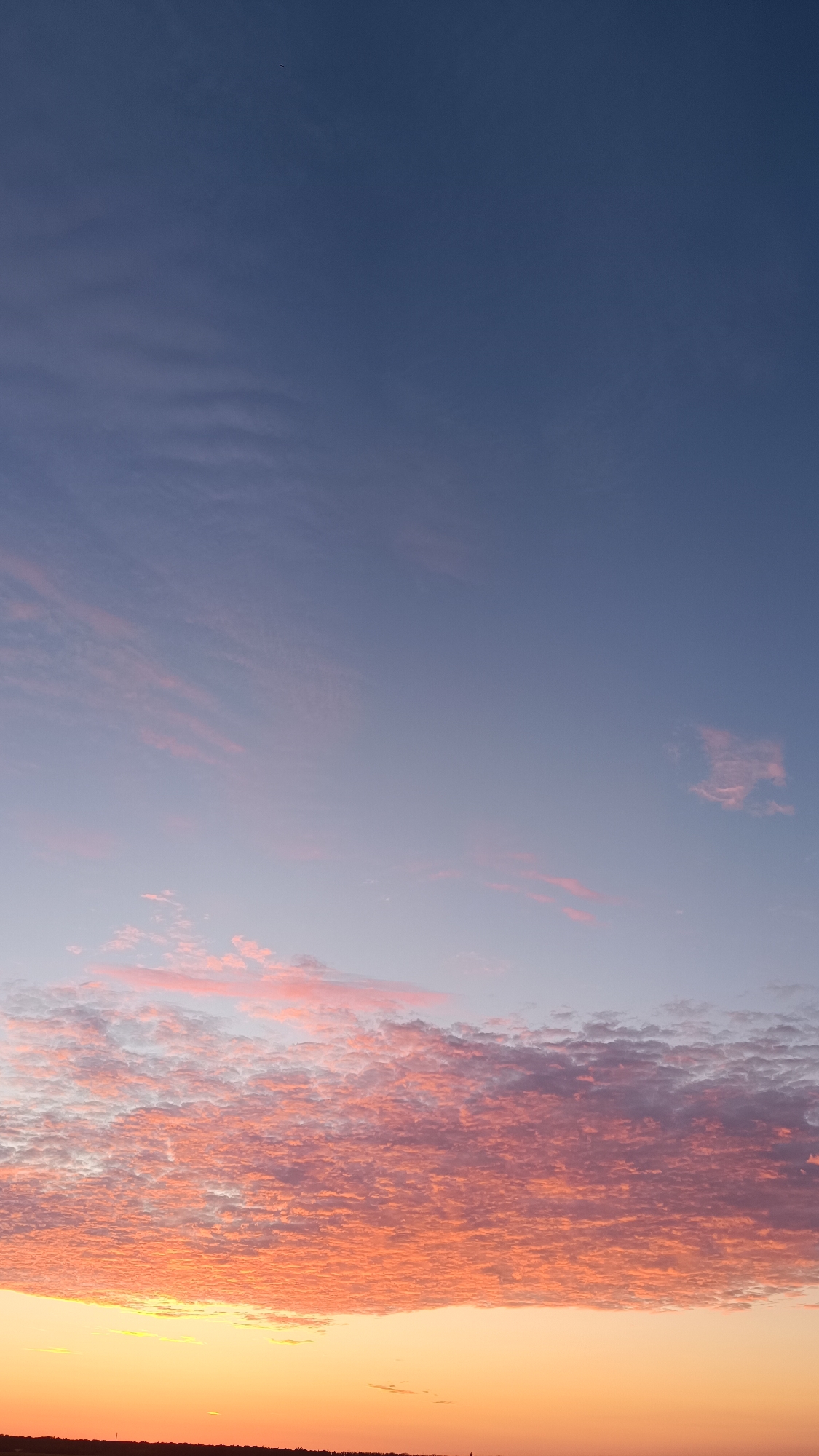A vertical, full-frame shot captures the twilight sky over Martynivs'ke, Ukraine. The upper portion of the image is a deep, clear blue, transitioning to a lighter, dusty rose hue towards the horizon. Wispy, pinkish clouds are scattered across the sky, with a dense, textured layer of bright orange and pink clouds dominating the lower half of the frame, just above the dark, silhouetted horizon line. The horizon itself is a flat, indistinct dark band, suggesting a rural landscape with minimal structures. A single, tiny black speck, likely a bird, is visible in the upper left quadrant of the image. The overall impression is one of a serene, natural sunset or sunrise.