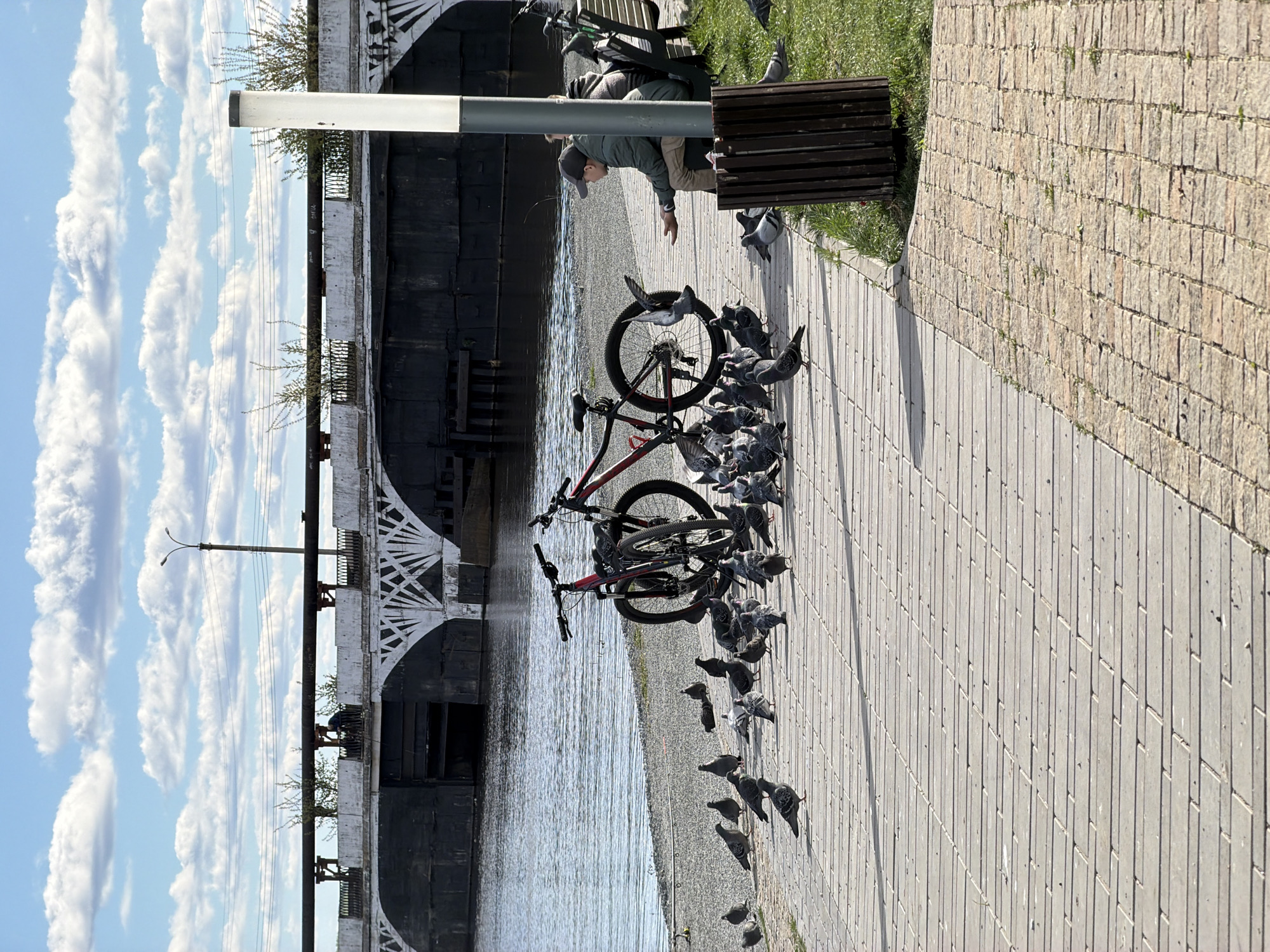 The image depicts a scene in Votkinsk, Russia, showcasing a paved walkway lined with a bench and frequented by pigeons. A man is seated on the bench, apparently feeding the birds, which are clustered around a bicycle parked nearby. In the background, a body of water is visible, with an ornamental bridge structure spanning across it. The sky above displays a partly cloudy pattern.