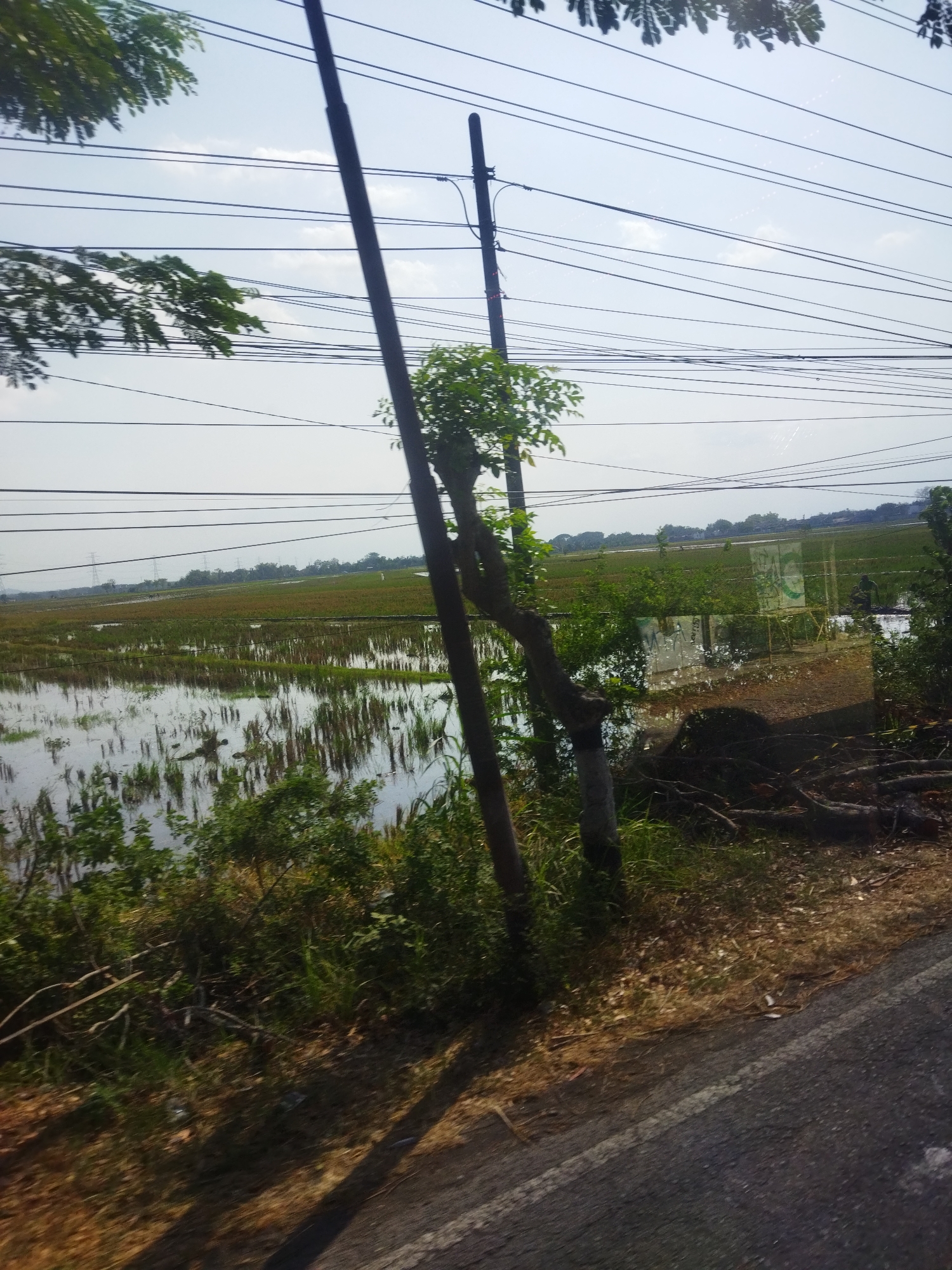 The image depicts a rural landscape in Kepuh, Indonesia, under a bright, partly cloudy sky. The foreground shows a dirt road with a white stripe and dappled sunlight casting shadows. To the left of the road, there is a patch of dry grass and fallen leaves, with thick green vegetation and tree trunks further back. Two utility poles stand prominently in the middle ground, supporting a complex network of overhead wires. To the left of the poles, a tree with green foliage is visible. The background reveals flooded rice paddies, reflecting the sky and surrounded by green vegetation. In the distance, a line of trees and some structures are visible, possibly indicating a village or hamlet. Two large white banners with green markings are hung on frames near the flooded fields, and two individuals, one in a dark shirt and the other in a lighter shirt, can be seen near the banners. The overall scene suggests a typical agricultural area with infrastructure for electricity.