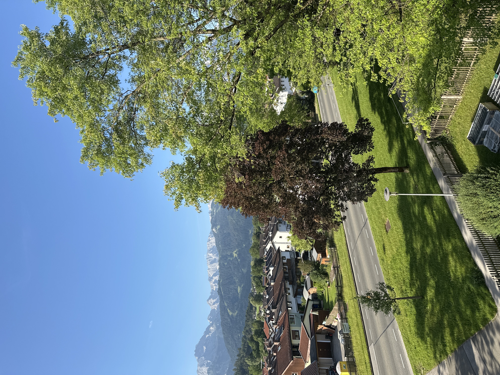 This is a medium-shot, eye-level photograph taken outdoors on a sunny day in Garmisch-Partenkirchen, Germany. The scene is a residential area with a road running through it. In the foreground, a wooden fence borders a grassy lawn where a few objects, including a white plastic bin and some stacked materials, are visible. A path leads away from the foreground towards a light pole and a small, thin tree.
The middle ground features a road with white lane markings, lined by a wide grassy median. A single, dark-leaved tree stands in the median, casting a shadow. Beyond the road, a collection of residential buildings with red-tiled roofs and white walls are visible. Some of these buildings have garages.
In the background, a dense line of green trees forms a backdrop to the houses. Further behind the trees, a majestic mountain range with snow-capped peaks is visible under a clear blue sky. The overall impression is one of a peaceful, scenic, and well-maintained suburban environment. There are no people or animals visible in the image.