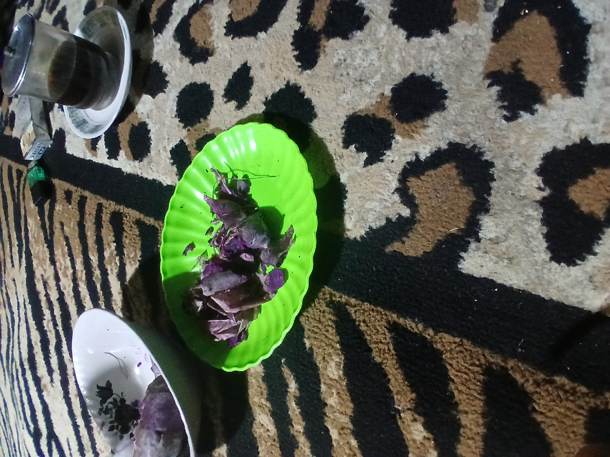 An overhead shot shows a leopard-print carpet with a white bowl of purple food, a bright green plate with more purple food, and a glass of coffee with a cigarette pack and lighter. The carpet has thick black and brown stripes. The white bowl has a floral design on the inside. The purple food appears to be chopped sweet potato. The coffee is dark brown and the glass has a metal lid. The cigarette pack is white with red lettering. The lighter is dark green. The scene appears to be indoors, possibly in a home.