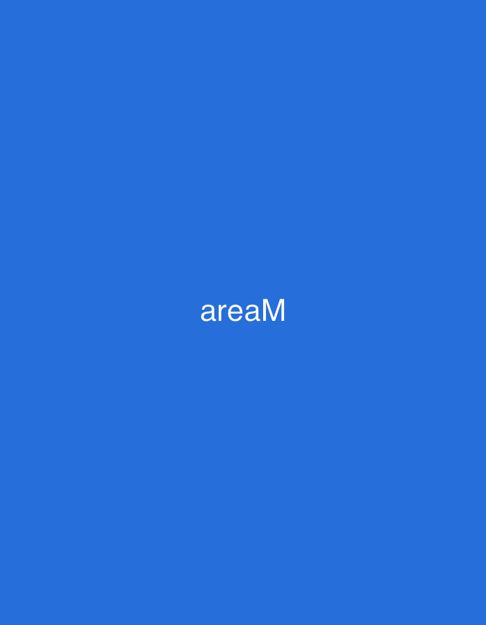 The image displays a solid, uniform blue background. Centered horizontally and vertically on this field is the white text "areaM" in a sans-serif font. This text references "Area M," an architecture and design agency situated in Casablanca, Morocco. No other subjects, objects, individuals, actions, or environmental features are depicted.