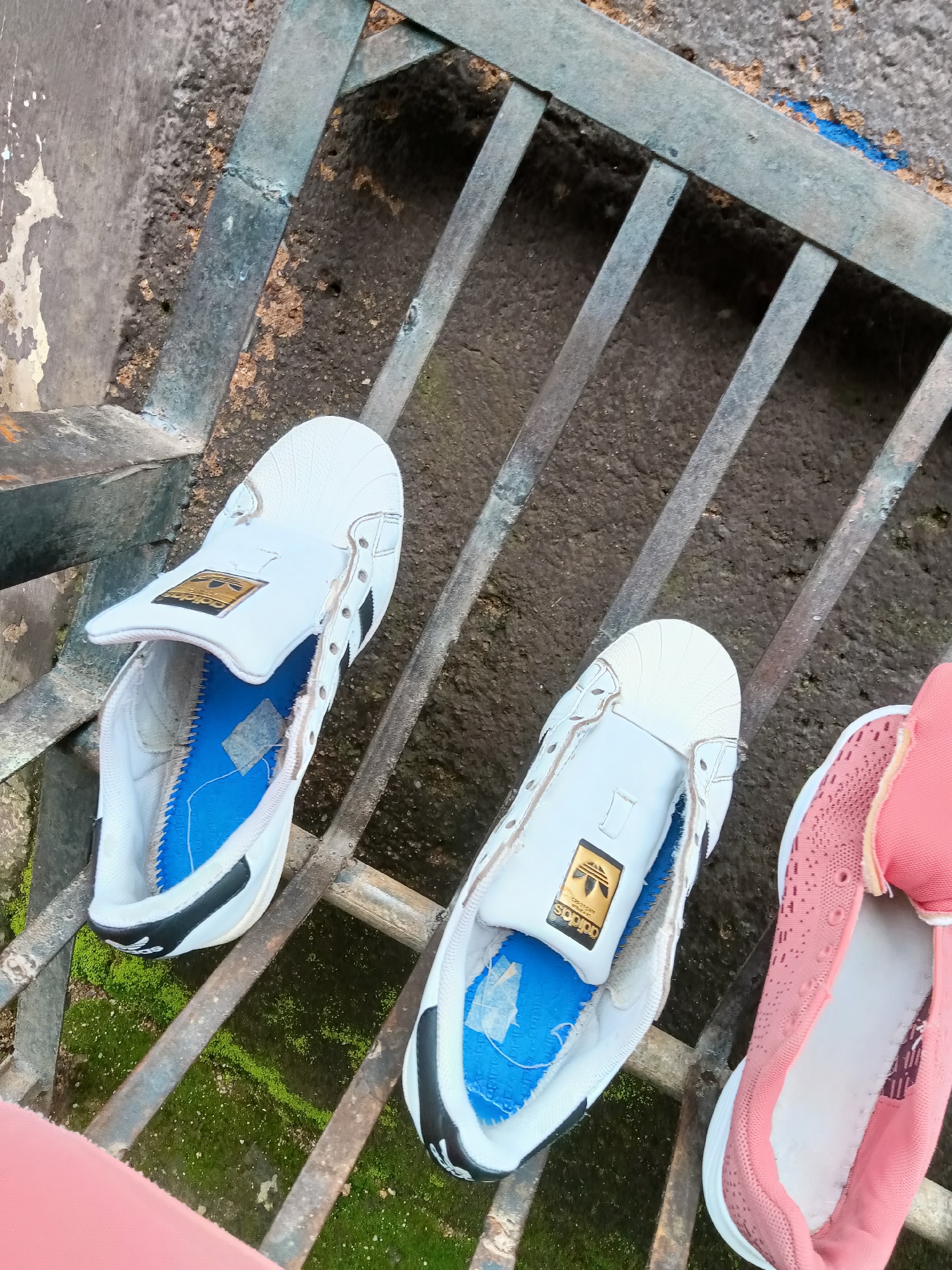 In an outdoor urban setting, two pairs of sneakers are placed on a rusty metal grate that is situated over a patch of mossy ground. The sneakers are white Adidas with blue insoles. One pair is in the foreground, slightly to the left, and the other is to the right. To the far right, a pink sneaker is partially visible. The grate is made of thick metal bars, some of which appear to be painted a faded blue. The background consists of a rough, textured surface that may be concrete or pavement, with areas of peeling paint on the left. The lighting suggests it is daytime, with some shadows cast on the grate.