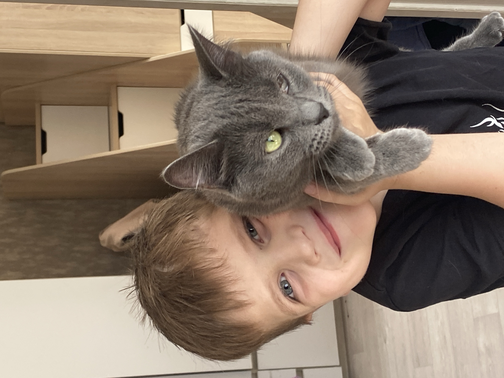 A person, presumably a young boy, is holding a gray cat close to his face. The boy is looking at the camera, and the cat is looking slightly away. The boy is wearing a black shirt. A wooden cabinet or shelf with white drawer fronts is visible in the background. The setting appears to be indoors. The location in the city of Chaikovsky, Russia is not discernible from the image.