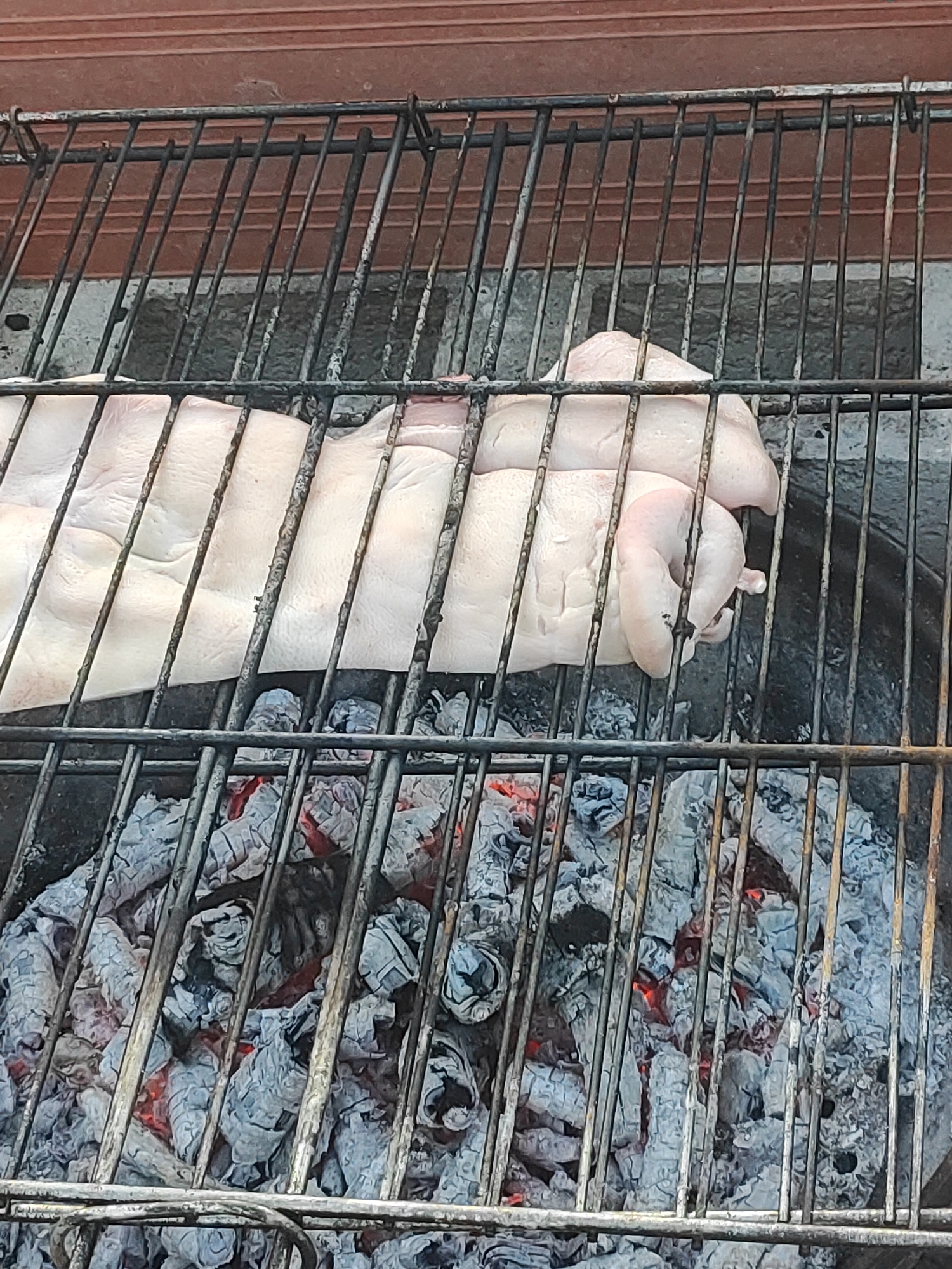 A whole roasted pig is displayed on a grill with hot coals below, in Alcàsser, Spain. The pig, with skin, appears to be cooked to a light brown color. The grill is made of black metal bars, and the coals are glowing red and white. The background shows a reddish-brown wall or surface.