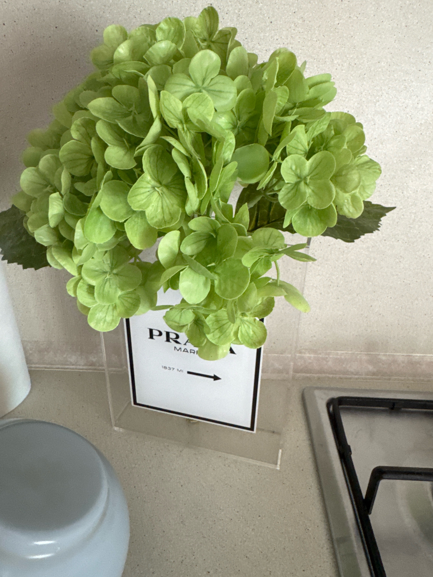 The image shows a close-up, high-angle shot of a bouquet of vibrant green hydrangeas in a clear acrylic vase. The vase has a black and white insert featuring the text "PRA", "MARI", and "1837 MI" with an arrow pointing to the right. The hydrangeas are densely packed and fill most of the frame, with some dark green leaves visible. The vase is placed on a speckled countertop, likely in a kitchen, as a gas stovetop with black grates is visible in the lower right corner. A portion of a light blue bowl is in the lower left of the image. The background is a neutral-toned wall with a textured finish. There are no people or animals present, and no specific indicators of location within Valday, Russia. The lighting appears to be natural or soft artificial light, creating subtle shadows.