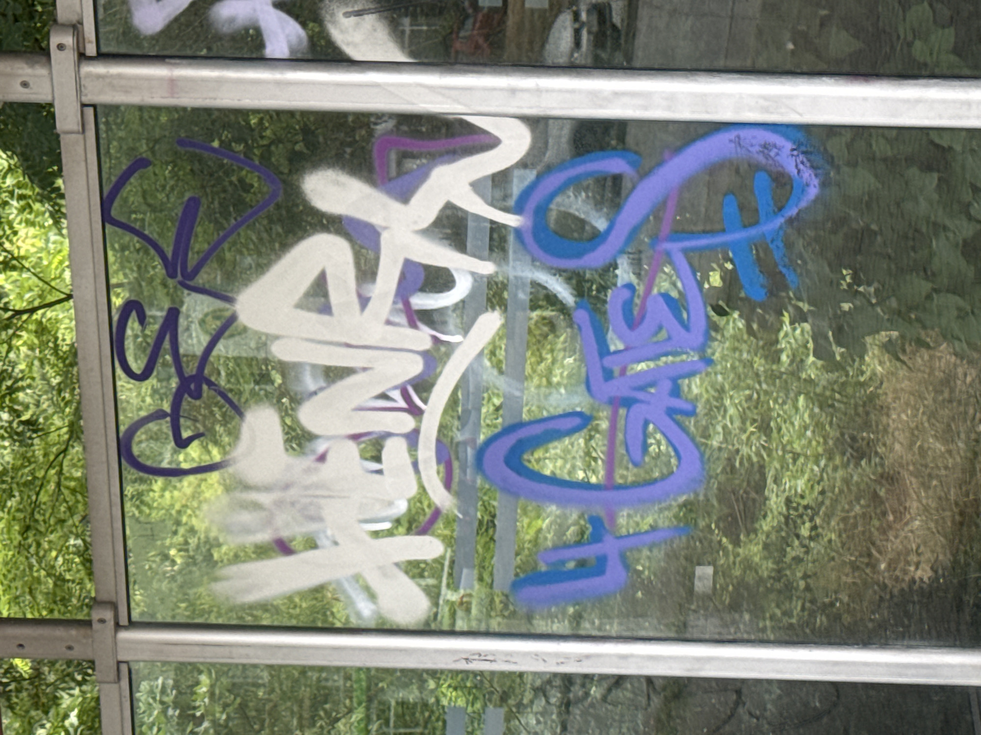 The image depicts graffiti spray-painted on the glass panels of what appears to be a bus shelter or a similar public structure. The graffiti is in multiple colors, including white, purple, and blue. The text is stylized and abstract, with some letters forming larger shapes. In the background, a dense green foliage is visible, suggesting an outdoor urban environment. The overall impression is one of vandalism on public property.