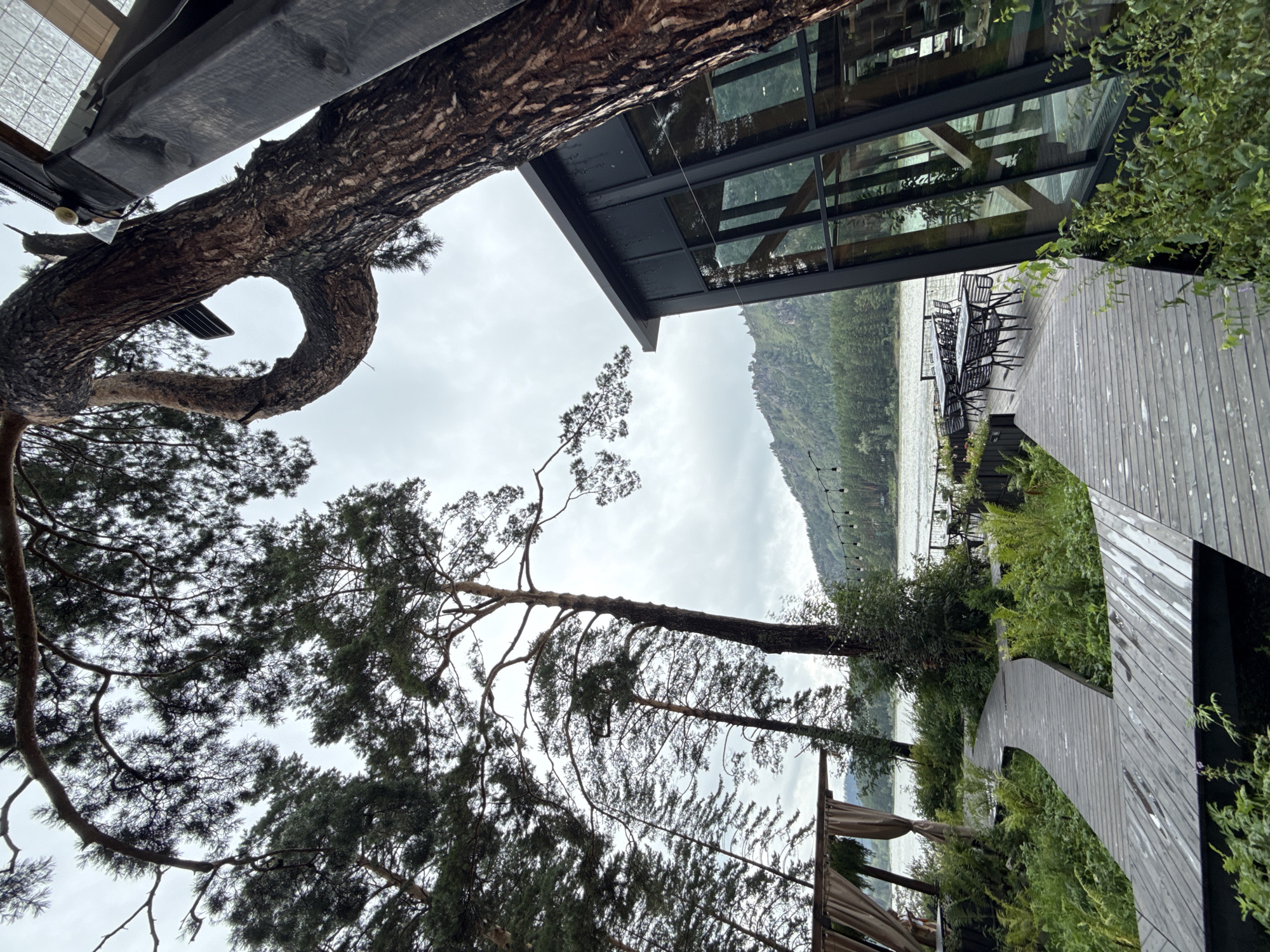 This image depicts an outdoor seating area adjacent to a modern building, situated in a natural environment with a river and forested hills in the background. A winding wooden walkway leads through lush greenery towards the seating area. The seating area features tables and chairs, and string lights are visible overhead. The building itself has large glass windows and a dark facade. The sky is overcast. The location is identified as Nizhnekayancha, Russia.
