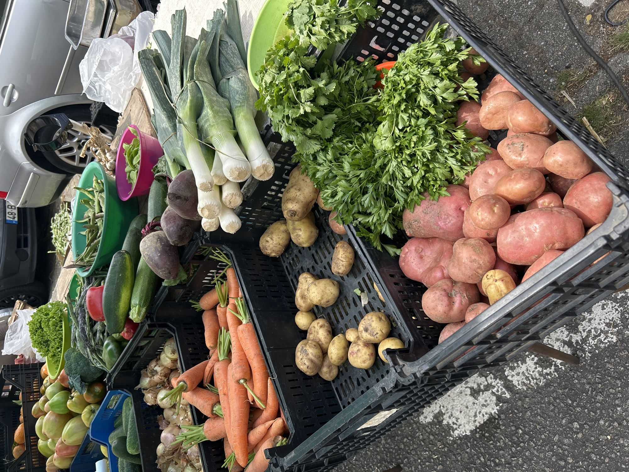 The image shows a street market stall displaying a variety of fresh produce in black plastic crates. The stall is set up on a paved surface, possibly a sidewalk or street, in Senhora da Hora, Portugal, as indicated by a license plate on a car in the background.
Dominating the foreground are several crates filled with different vegetables. One large crate is overflowing with vibrant orange carrots, their green tops still attached. Adjacent to the carrots are crates of potatoes, some lighter brown and smaller, others larger and reddish-pink. A generous bunch of fresh, leafy green parsley is also prominent, spilling out of a crate. Other vegetables visible include beets, leeks, green beans, cucumbers, peppers, and onions.
In the background, a silver car is parked, and some of the produce is arranged on a table or stand. The overall impression is one of a bountiful and fresh selection of vegetables offered at a local market. There are no people visible in the image.