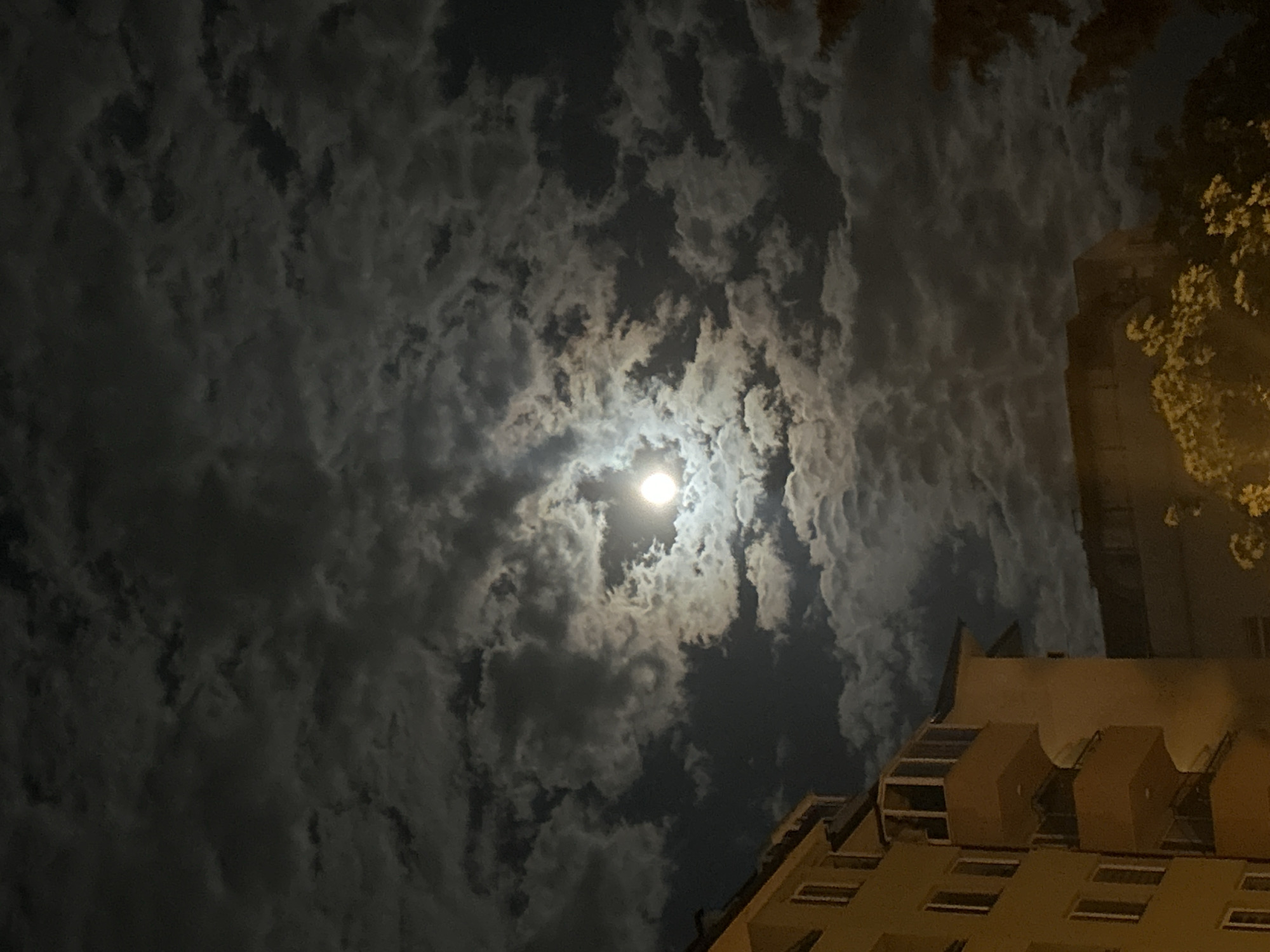 The image depicts a night scene in Plovdiv, Bulgaria. The moon is visible through a sky filled with clouds. Part of a building is in the foreground. The building has multiple windows. Yellow flowers or foliage is visible on the building.