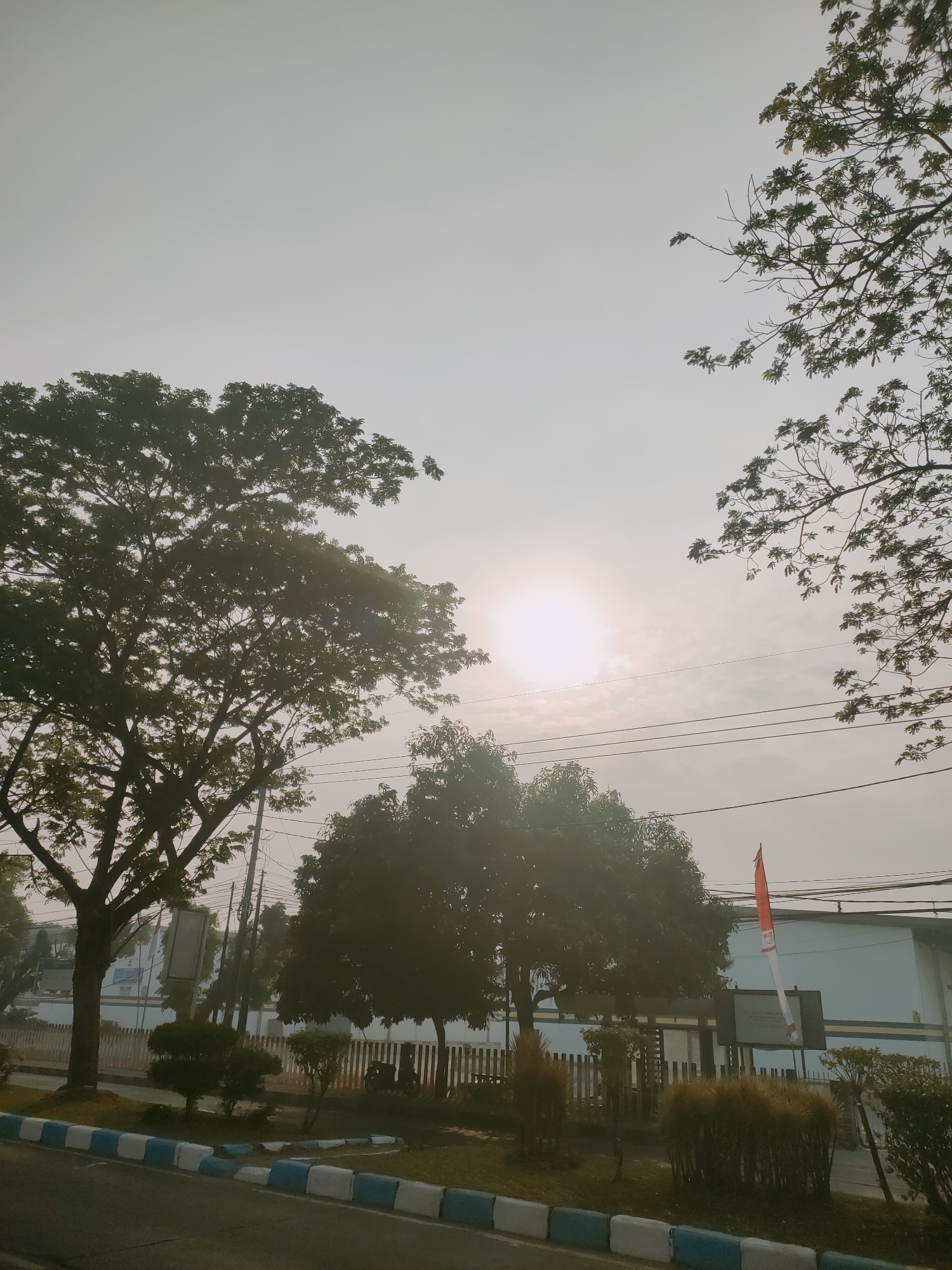 The image depicts a hazy outdoor scene with a bright, diffused sun partially obscured by clouds, casting a soft light. Silhouetted trees with dense foliage dominate the foreground and midground, with branches from another tree extending from the upper right corner of the frame. In the background, there is a low-rise building with a white facade and a dark roof. A red and white flag, likely the Indonesian flag, is visible on a flagpole attached to the building. Power lines are strung across the upper portion of the scene. The foreground shows a paved road with a blue and white striped curb, and a patch of grass with landscaping elements such as small bushes and trees. The overall impression is a serene, early morning or late afternoon view in a semi-urban or industrial area, possibly within the city of Sooko, Indonesia, given the presence of the Indonesian flag. No people are clearly visible in the frame.