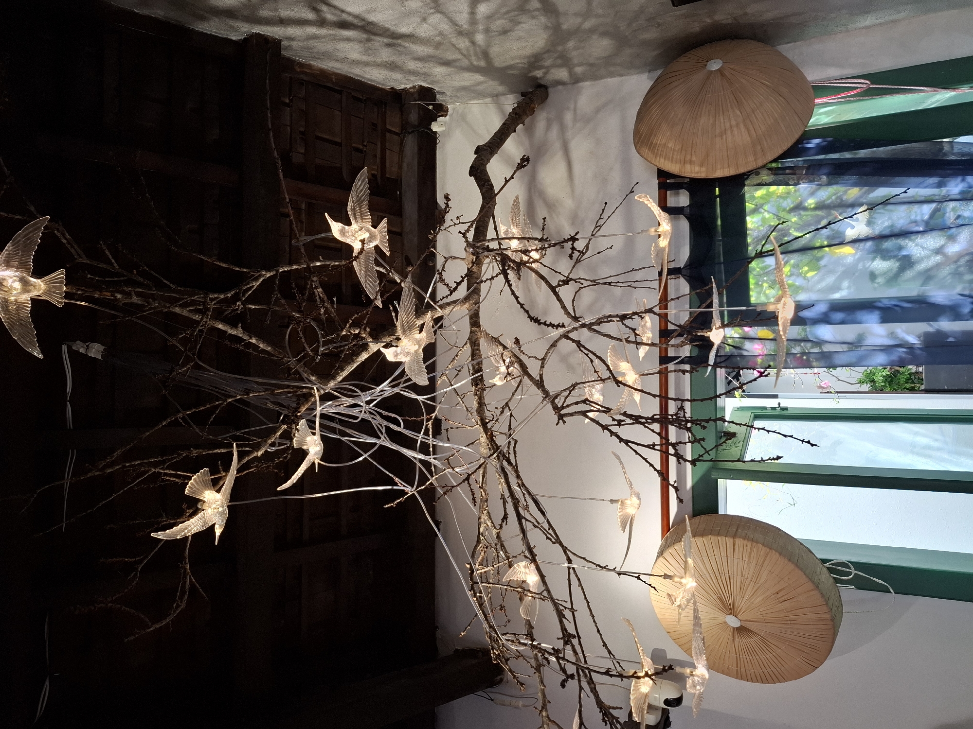 The image shows a unique chandelier made of branches and illuminated bird figures, suspended from a dark wooden ceiling. The chandelier is decorated with multiple transparent bird-shaped lights, seemingly in mid-flight. The room has white walls, and a window with sheer blue curtains is visible in the background, offering a glimpse of greenery outside. On either side of the window, large, round, woven objects that resemble conical hats are mounted on the wall. The overall ambiance suggests a decorative interior space, possibly a cafe or restaurant in Nha Trang Ward, Vietnam, given the conical hat-like decor. There are no people visible in the image.
