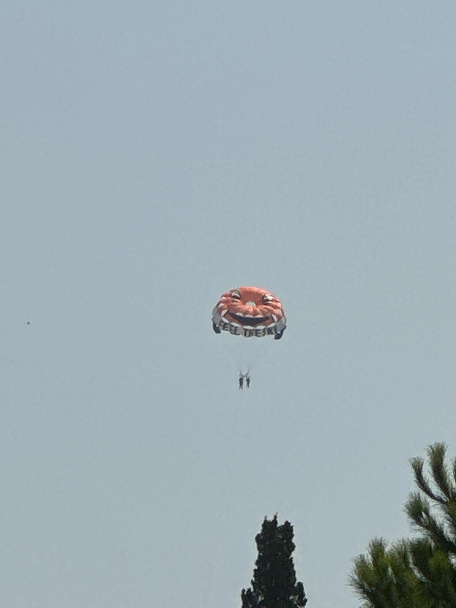A parasail with a smiling face design is visible against a pale sky. The parasail has the words "FEEL THE SKY" printed on it. Two people are suspended beneath the parasail. The scene appears to be near the coast, with the tops of trees visible in the lower portion of the image. This activity is commonly offered at beaches in Budva, Montenegro.