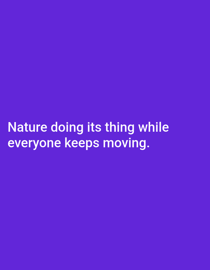 The image displays text against a solid purple background. The text reads "Nature doing its thing while everyone keeps moving." There is no depiction of the city of Sonobekel, Indonesia, or any other specific location. The image is a graphic design element.
