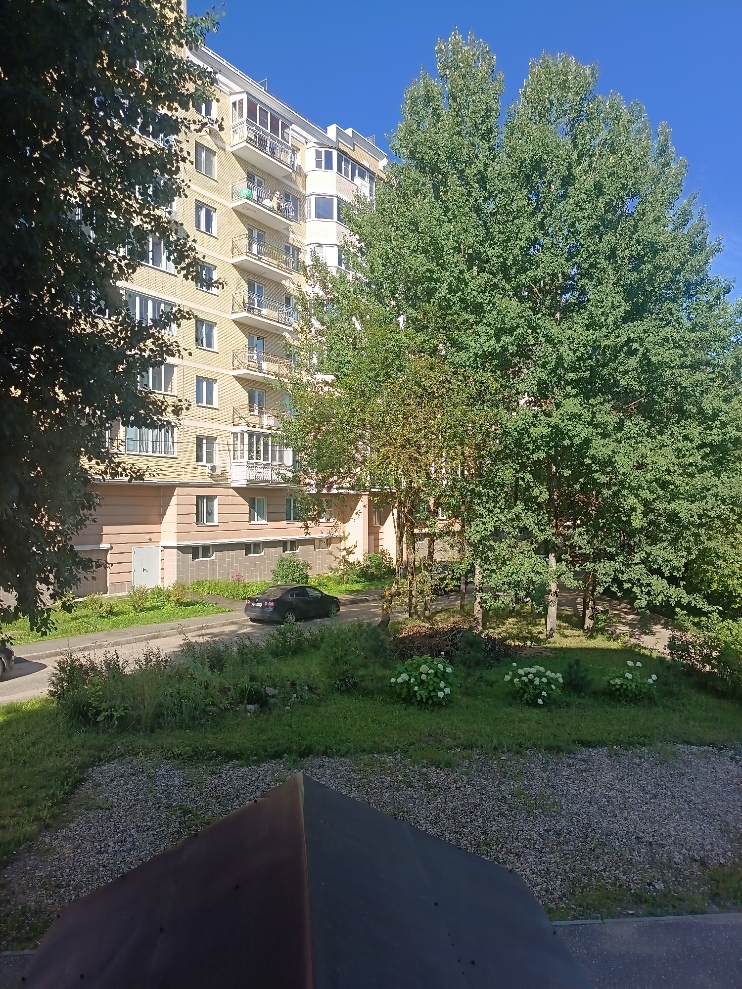 The image depicts a residential building in Zvenigorod, Russia, on a sunny day. The building is a multi-story apartment complex with a light yellow brick facade and multiple balconies with black railings. A large tree with dense green foliage stands in front of the building, partially obscuring it. Another, smaller tree is visible to the left. In the foreground, a dark-colored car is parked on the side of a paved road. The area around the building is covered with grass and some gravel. There are several white flowering bushes in the lower right portion of the image. The sky is clear and blue.