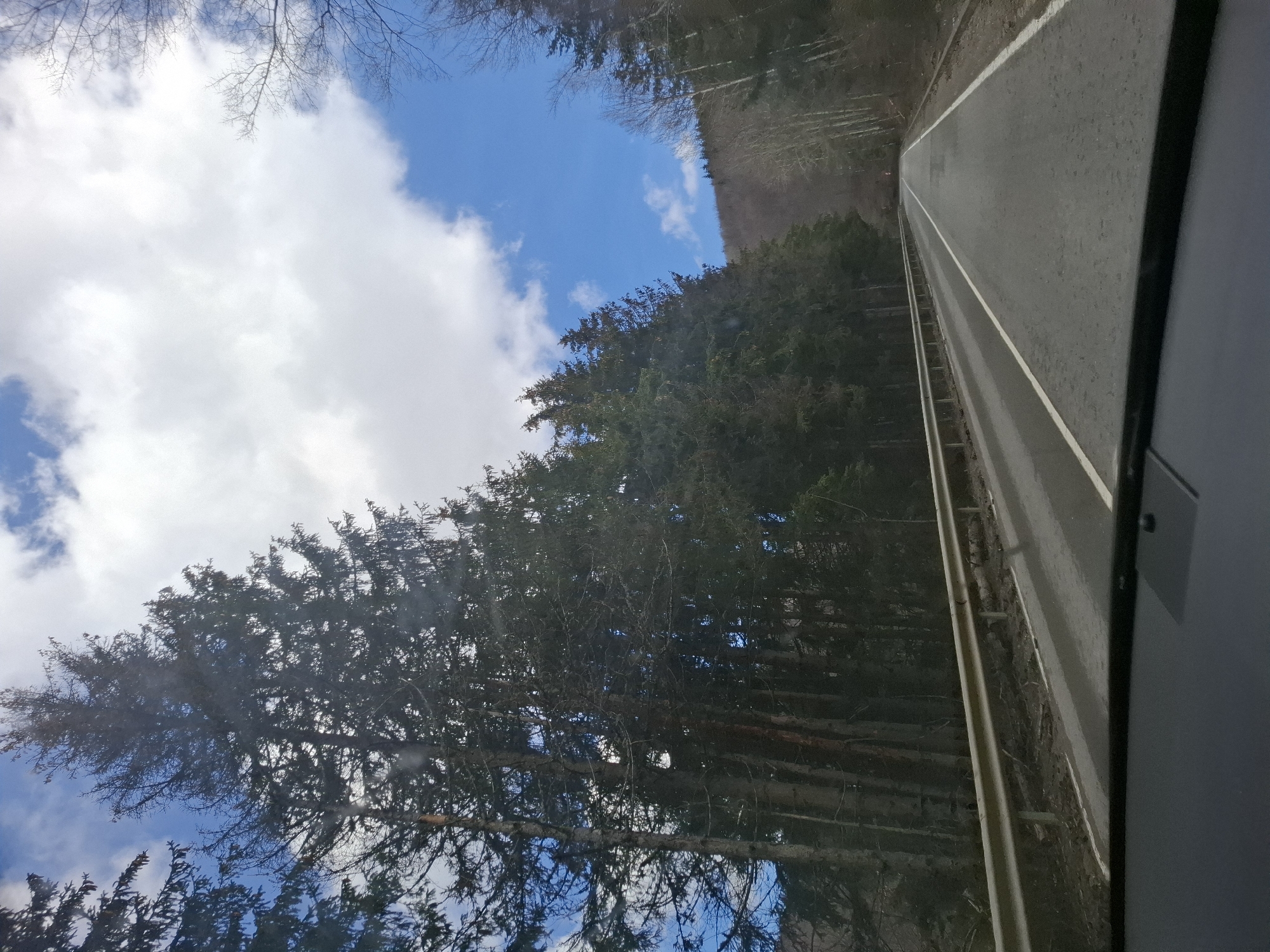 The image shows a road running through a forested area. On the left is a dense collection of coniferous trees and above it, a blue sky with scattered clouds. To the right of the trees is a gray asphalt road, marked with a white line. A metal guardrail borders the road. The photograph appears to be taken from inside a vehicle. The location may be Gintsi, Bulgaria, given the request.