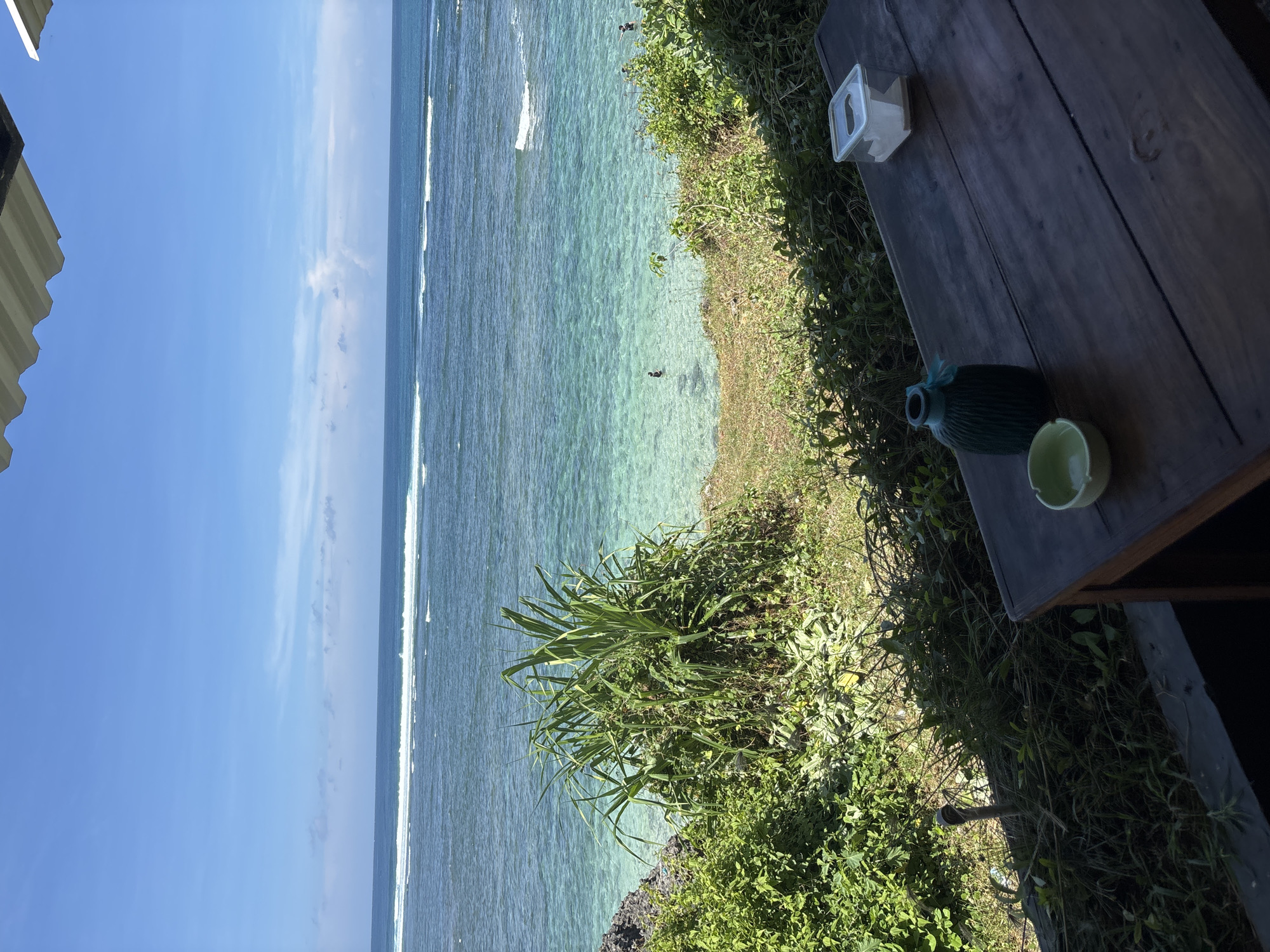 A landscape-oriented shot showcases a seascape view from Kuta Selatan, Indonesia. The sky is a clear blue, merging into the ocean, which presents varying shades of turquoise. Gentle waves form white lines across the water. Vegetation, featuring shrubs and grass, dominates the middle of the frame, merging with the foreground elements.
A wooden table occupies the right side of the frame. Placed on the table are a container with a white lid, a dark green canteen, and a light green cup. The table and surrounding plants suggests the scene is taken from a natural or semi-natural environment.