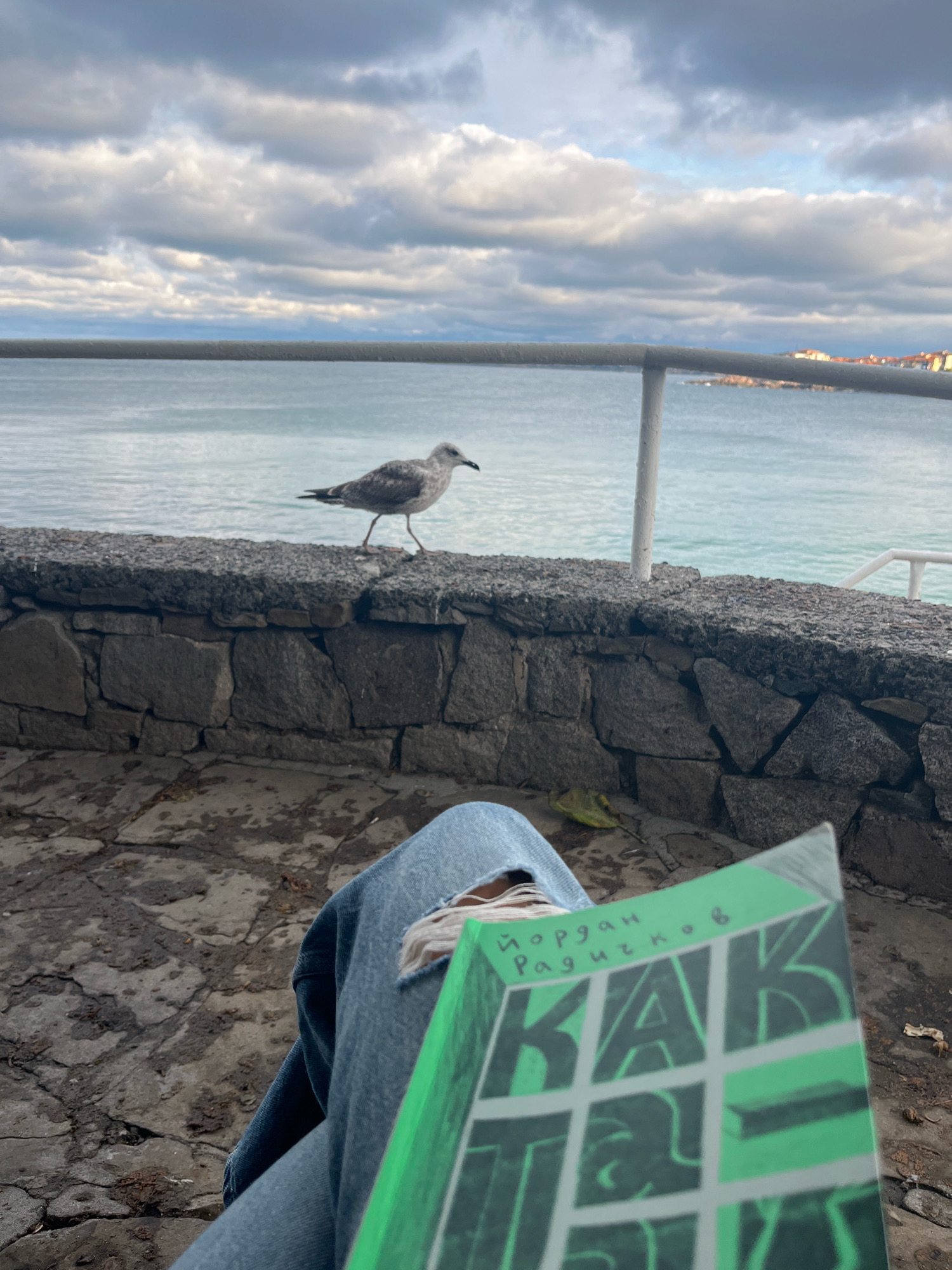 A close-up, eye-level, outdoor shot captures a person wearing ripped blue jeans sitting on a stone pathway, holding a green book with bold black lettering. In the background, a seagull walks along a stone wall overlooking the sea, with cloudy skies above. The scene is likely located in Sozopol, Bulgaria, a historic coastal town known for its picturesque views and stone architecture. The turquoise waters and cobblestone paths are characteristic of the Bulgarian Black Sea coast.