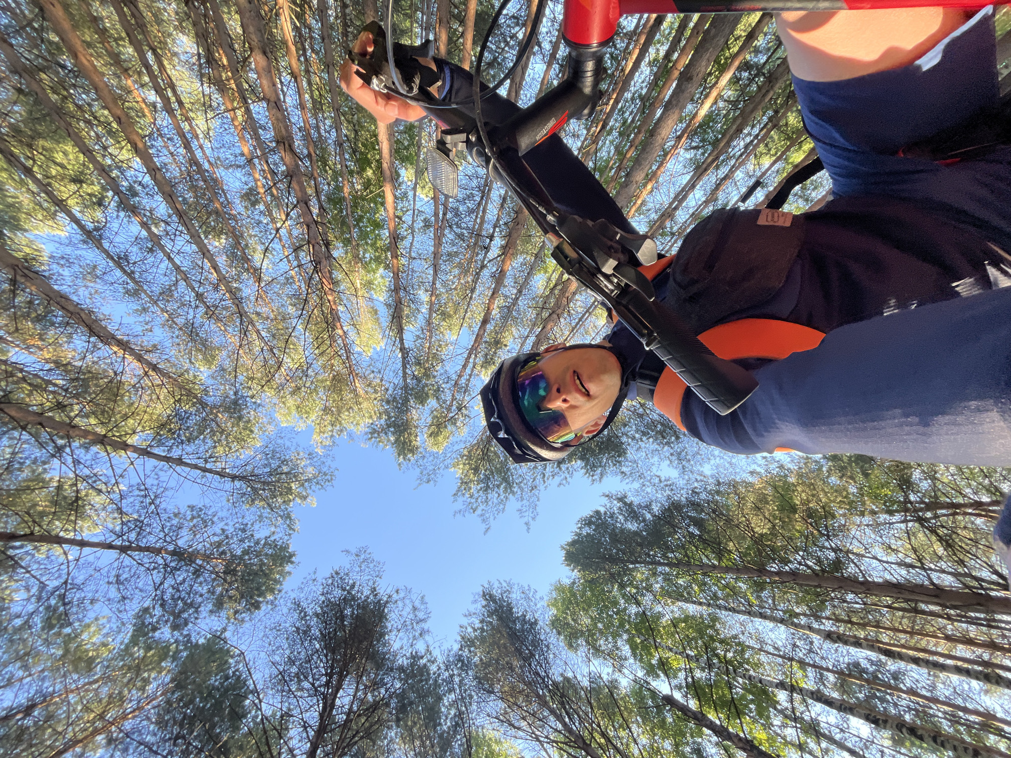 A first-person perspective selfie shows a man on a bicycle in a forest with tall trees reaching towards the sky. The man is wearing a dark blue long-sleeved shirt, dark blue shorts, a black helmet with goggles that have colorful reflective lenses, and an orange vest. He is holding onto the handlebars of the bicycle. The forest floor is not visible, and the scene is dominated by the upward view of tree trunks and branches against a bright blue sky. The overall impression is one of outdoor activity and nature.