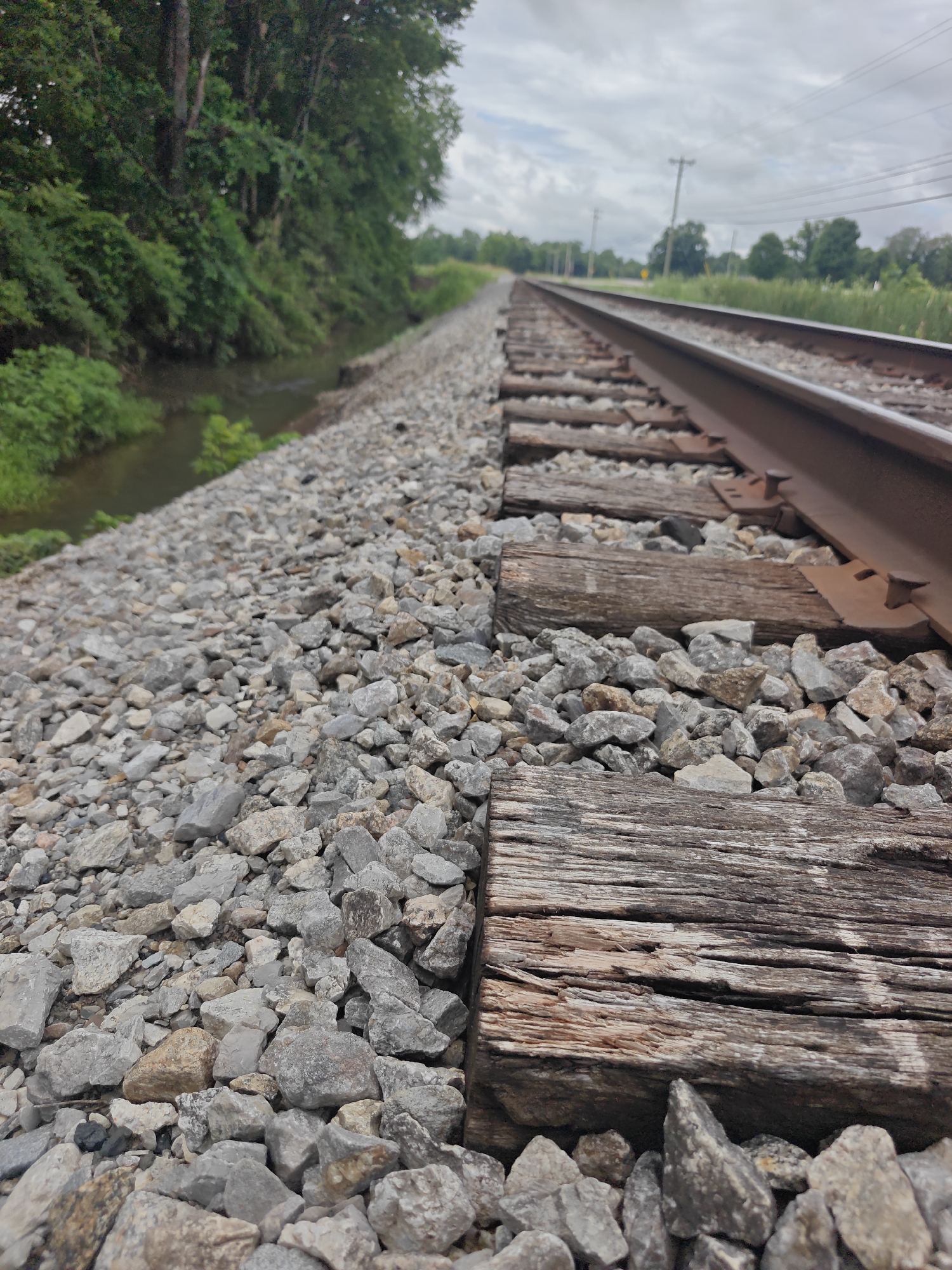 The image depicts a close-up, low-angle view of railroad tracks. The tracks are comprised of metal rails supported by weathered wooden railroad ties, set in a bed of grey gravel. To the left of the tracks, a narrow, shallow body of water, possibly a stream or ditch, is visible, bordered by lush green foliage and trees. The background shows more trees and vegetation along the horizon, under a cloudy sky. Utility poles and power lines are also present in the distance. The scene is outdoors and appears to be in a rural or semi-rural setting. There are no people or animals visible in the image, and no discernible actions or interactions are taking place.