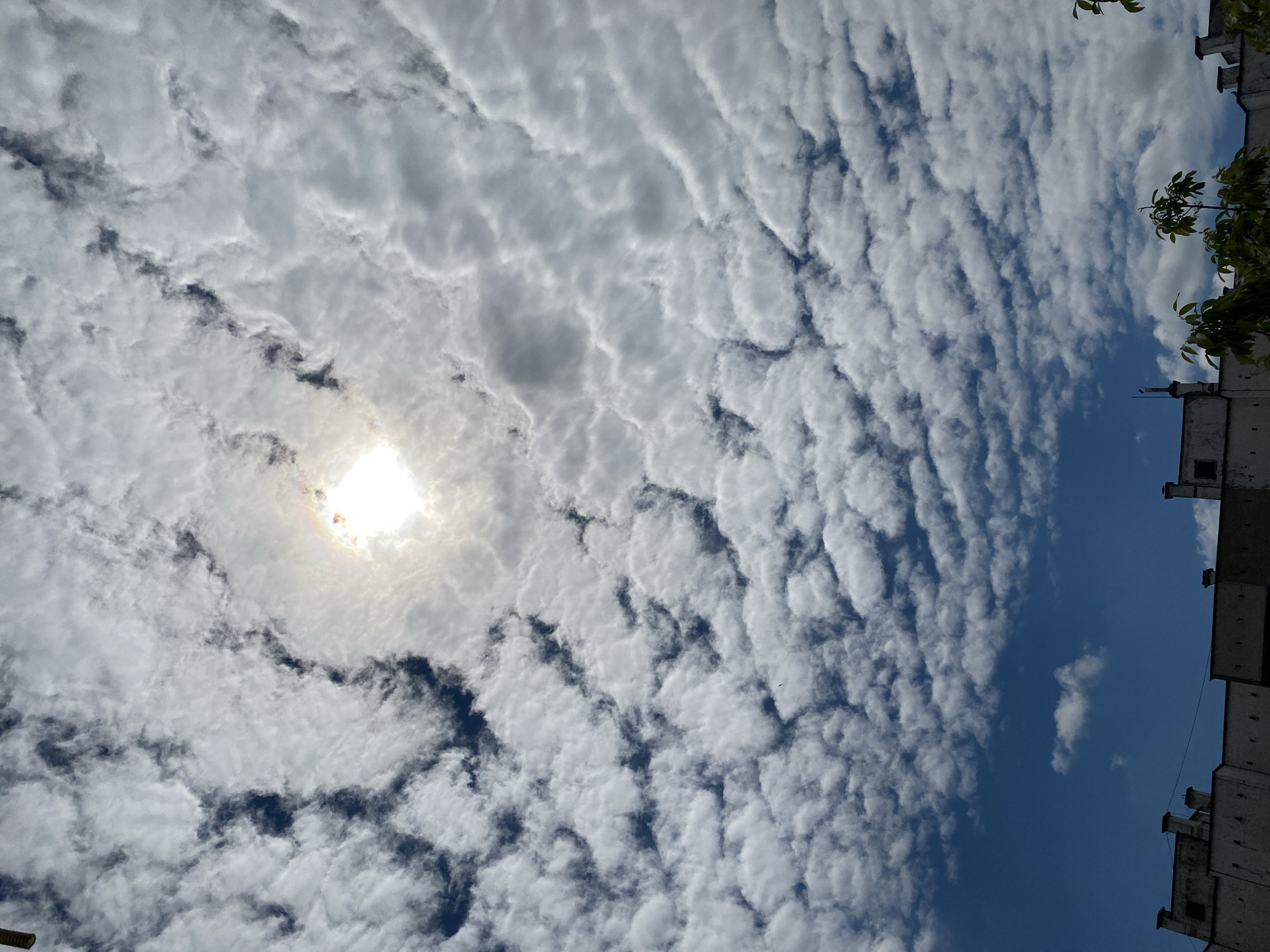 The image depicts a sky filled with altocumulus clouds, some obscuring the sun. There is a building and some foliage visible in the upper right corner. The location is Pleven, Bulgaria.
