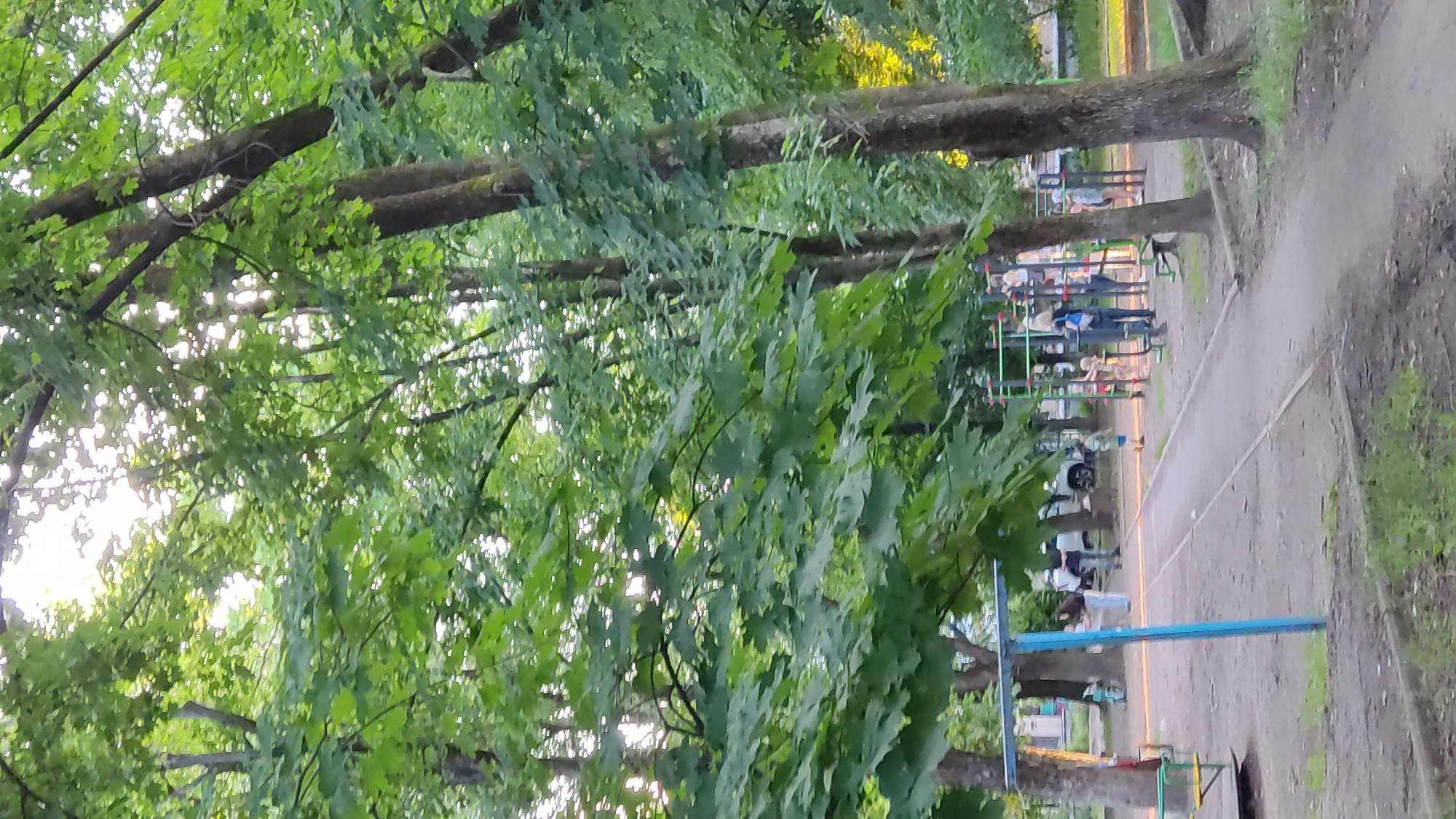 The image shows a playground area with trees and people. There are several children and adults present. One group of children is on a climbing structure. Another adult is standing near the climbing structure. A path runs through the playground. There are also some parked cars in the background. The scene appears to be in a residential area. The overall impression is of a typical urban playground on a summer day.