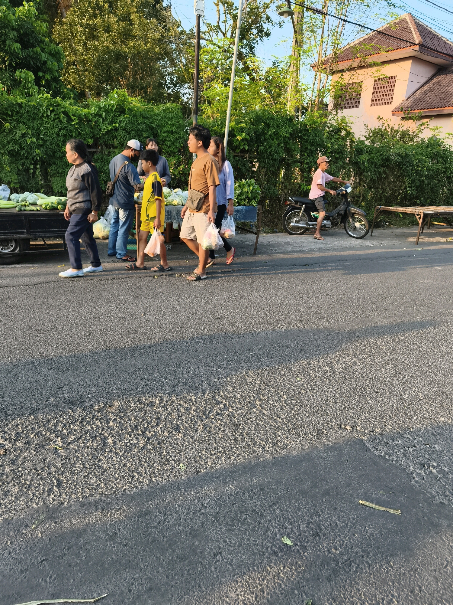 In Kaligondo, Indonesia, at ground level, a street scene unfolds with a diverse group of people and vehicles. In the foreground, a paved road with distinct textures and shadows dominates the frame. To the left, a black truck bed is laden with an abundance of green vegetables, likely produce for sale. Adjacent to the truck, several individuals are walking, some carrying plastic bags filled with goods. Among them is a young boy in a yellow shirt and shorts, and an adult woman in a grey sweater and dark pants. Further to the right, a man in a tan shirt and shorts walks, also carrying a plastic bag. Another person, partially visible in a light blue shirt, is also walking. In the background, a man on a dark motorcycle with a pink cap and shorts rides along the road, facing right. Behind the people and the motorcycle, a dense line of green foliage forms a natural barrier. Beyond the foliage, a building with a tiled roof and decorative window grates is visible. The sky above is a clear blue, indicating a bright, likely daytime scene. A utility pole with wires is also present.