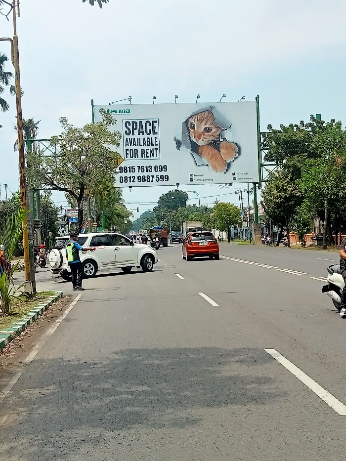 The scene is a wide shot of a street in Kecamatan Margorejo, Indonesia (latitude: -6.76, longitude: 111.016). A large billboard on the right side of the street advertises "SPACE AVAILABLE FOR RENT" with two phone numbers, 0815 7613 099 and 0812 9687 599. The billboard features an image of a cat peeking out from behind a torn piece of paper. On the street, there are several cars, including a white SUV, a red car, and several motorcycles. A man in a blue shirt and a green vest is standing near the white SUV, gesturing with his left arm. The street is paved and has two white lines in the center. There are trees lining the street on both sides. The sky is bright blue with a few clouds.