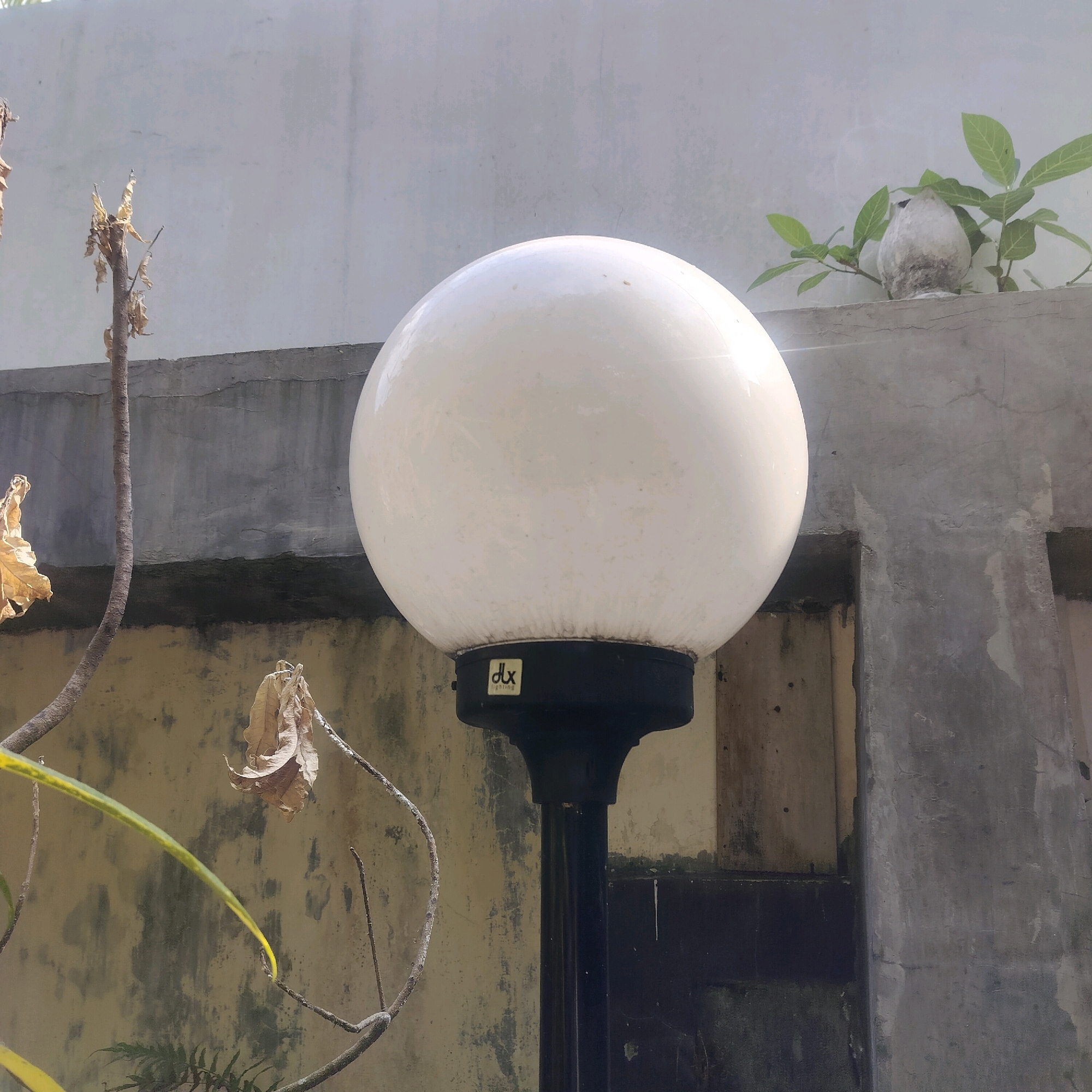 A single, large, white, spherical lamp is the primary subject in this image, positioned centrally and dominating the frame. The lamp is mounted on a dark, cylindrical pole. A small, black rectangular label with "dlx LIGHTING" in white text is affixed to the base of the lamp. To the left of the lamp, a dry, bare tree branch with a few withered brown leaves is visible, its texture rough and woody. Behind the lamp and branch, a textured concrete wall runs horizontally across the middle ground, with a lighter, rougher wall above it. In the upper right corner, a small, light-colored, bird-like statue or ornament sits on top of the concrete wall, surrounded by vibrant green leaves of a plant. The background is a plain, light-colored wall, slightly textured. The scene appears to be outdoors, possibly in a garden or courtyard area, with ample natural light casting subtle shadows. The overall impression is one of a somewhat weathered outdoor setting, with the bright lamp serving as a focal point. The scene is consistent with an outdoor lighting fixture in a residential or public space within Sleman, Indonesia.